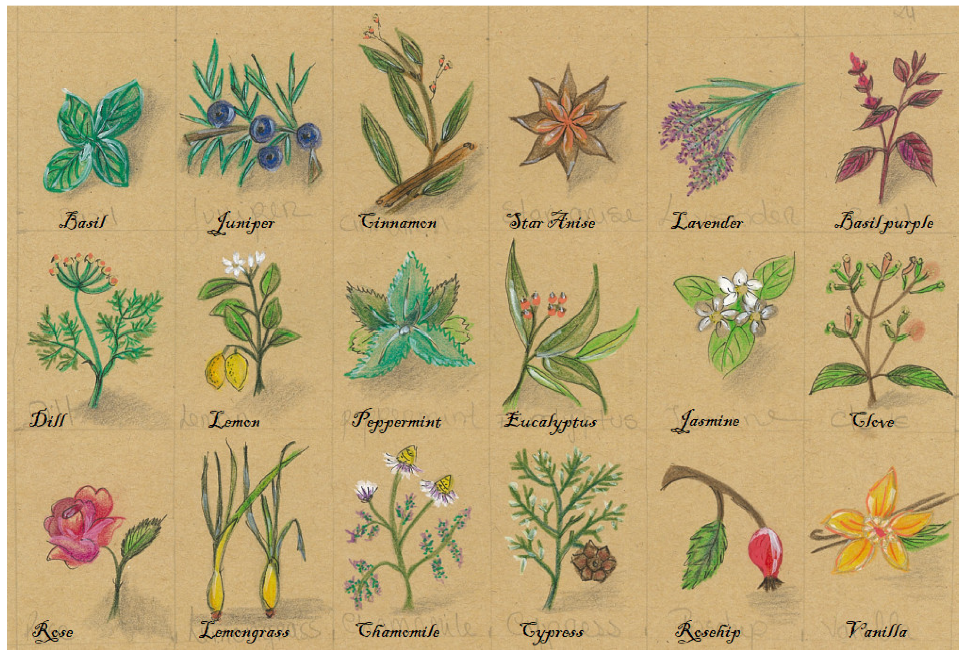 Molecules 27 08525 g001 Molecules 27 08525 g001