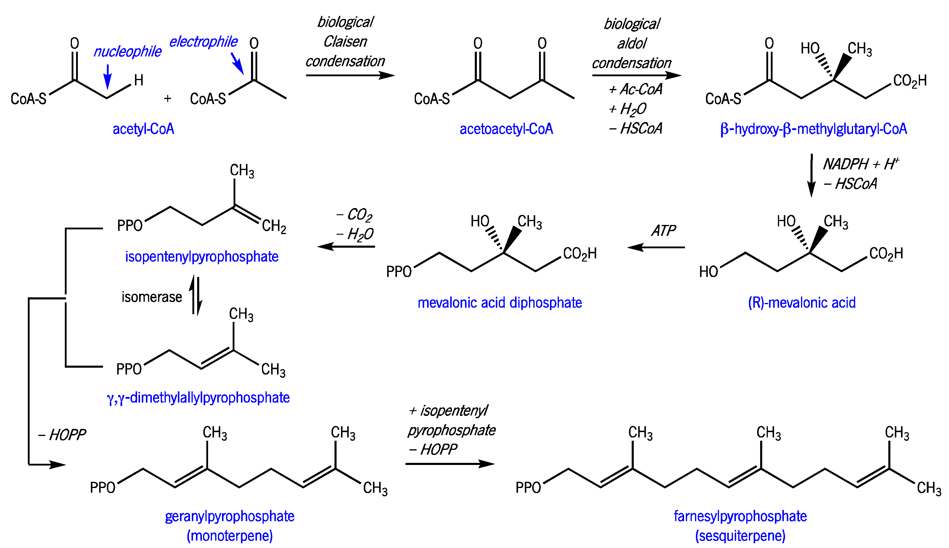 Molecules 27 08525 g003 Molecules 27 08525 g003