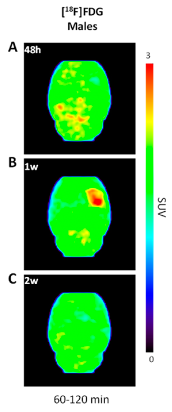 Molecules 27 08529 g004