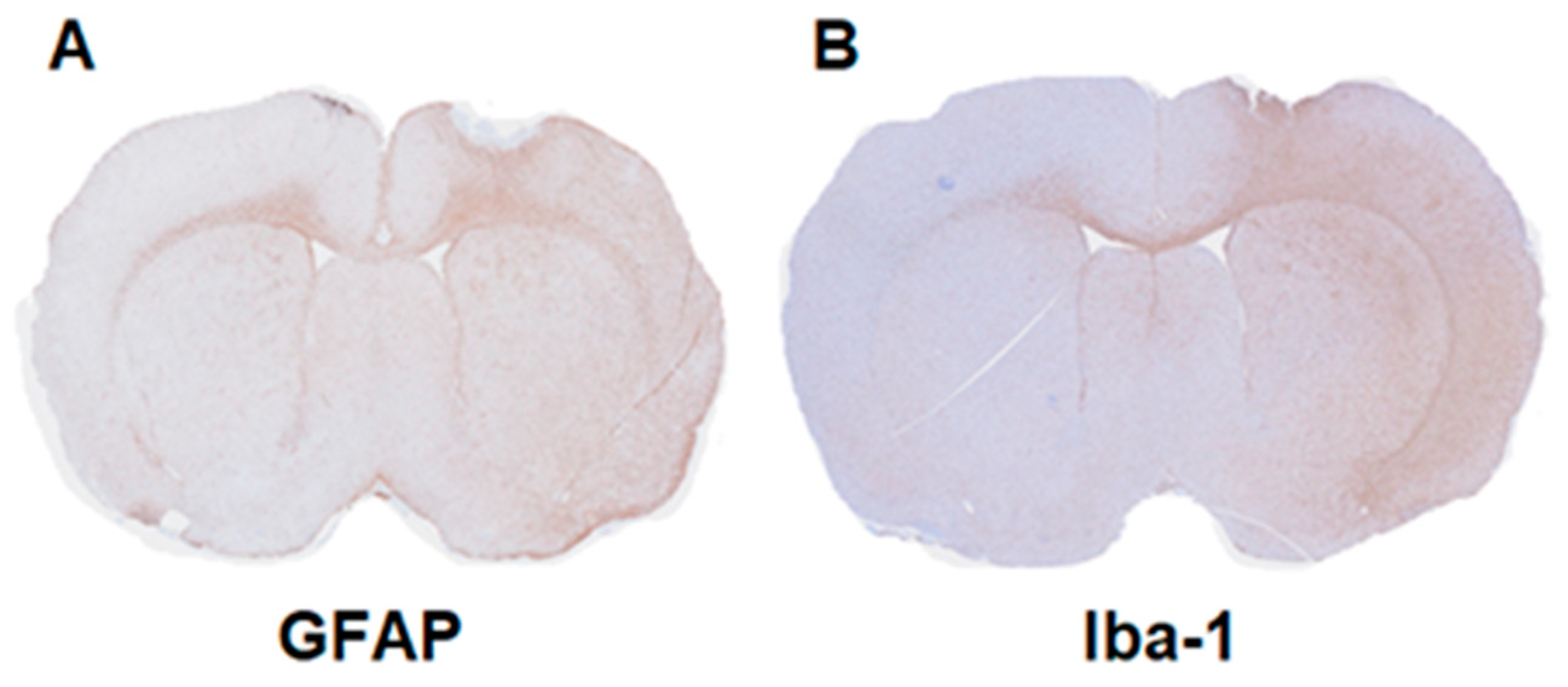 Molecules 27 08529 g006