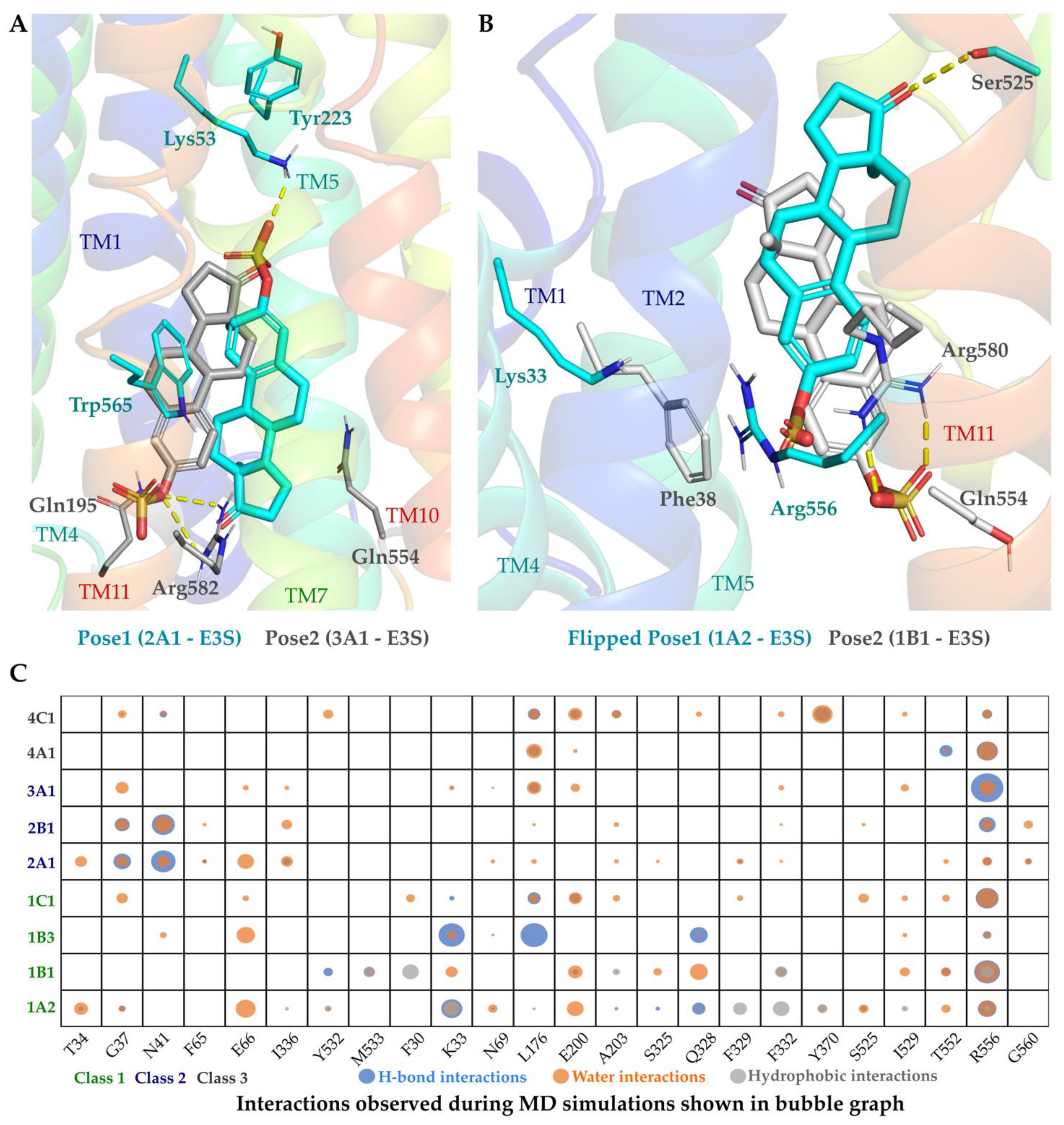 Molecules 27 08531 g005