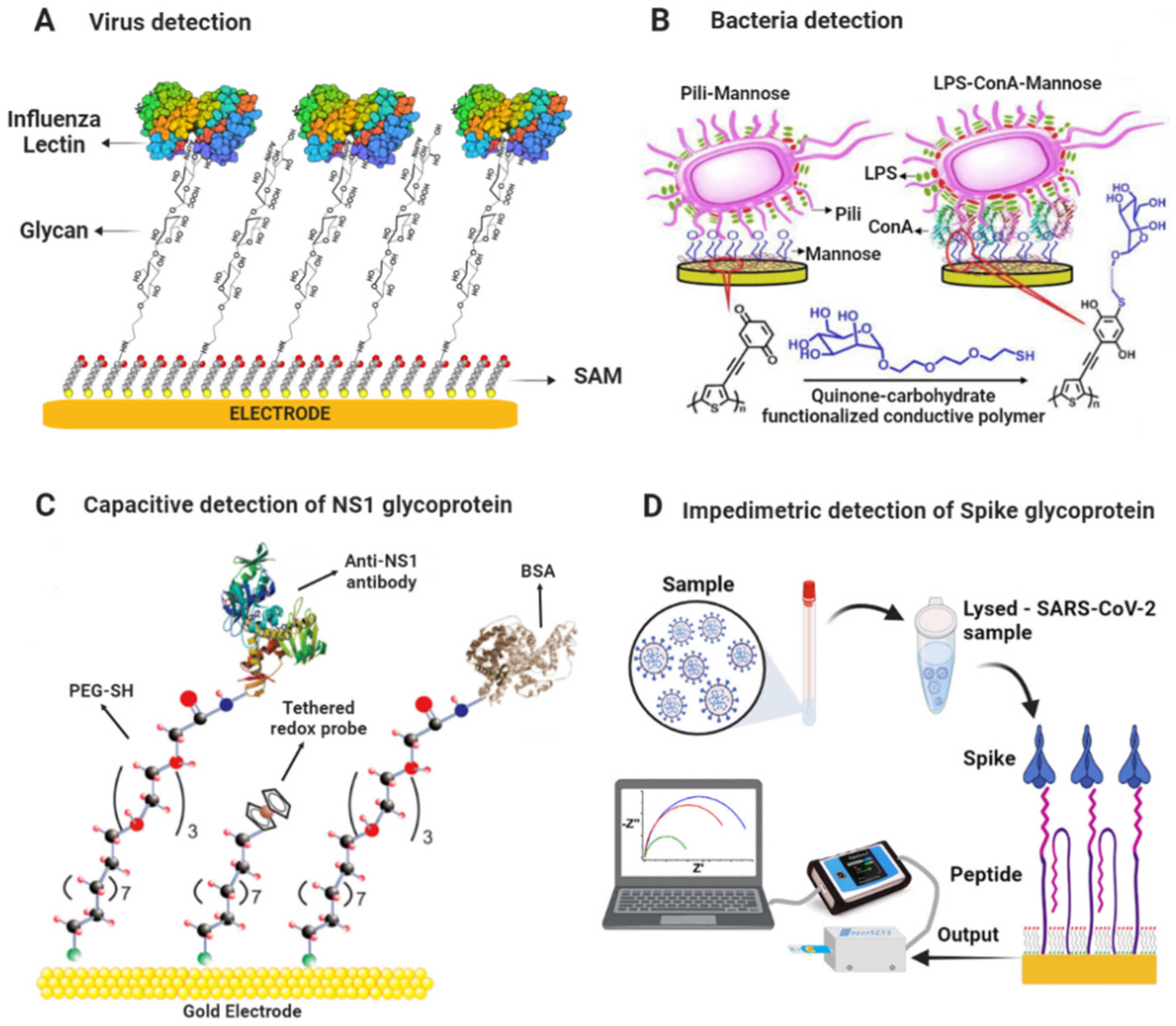 Molecules 27 08533 g003