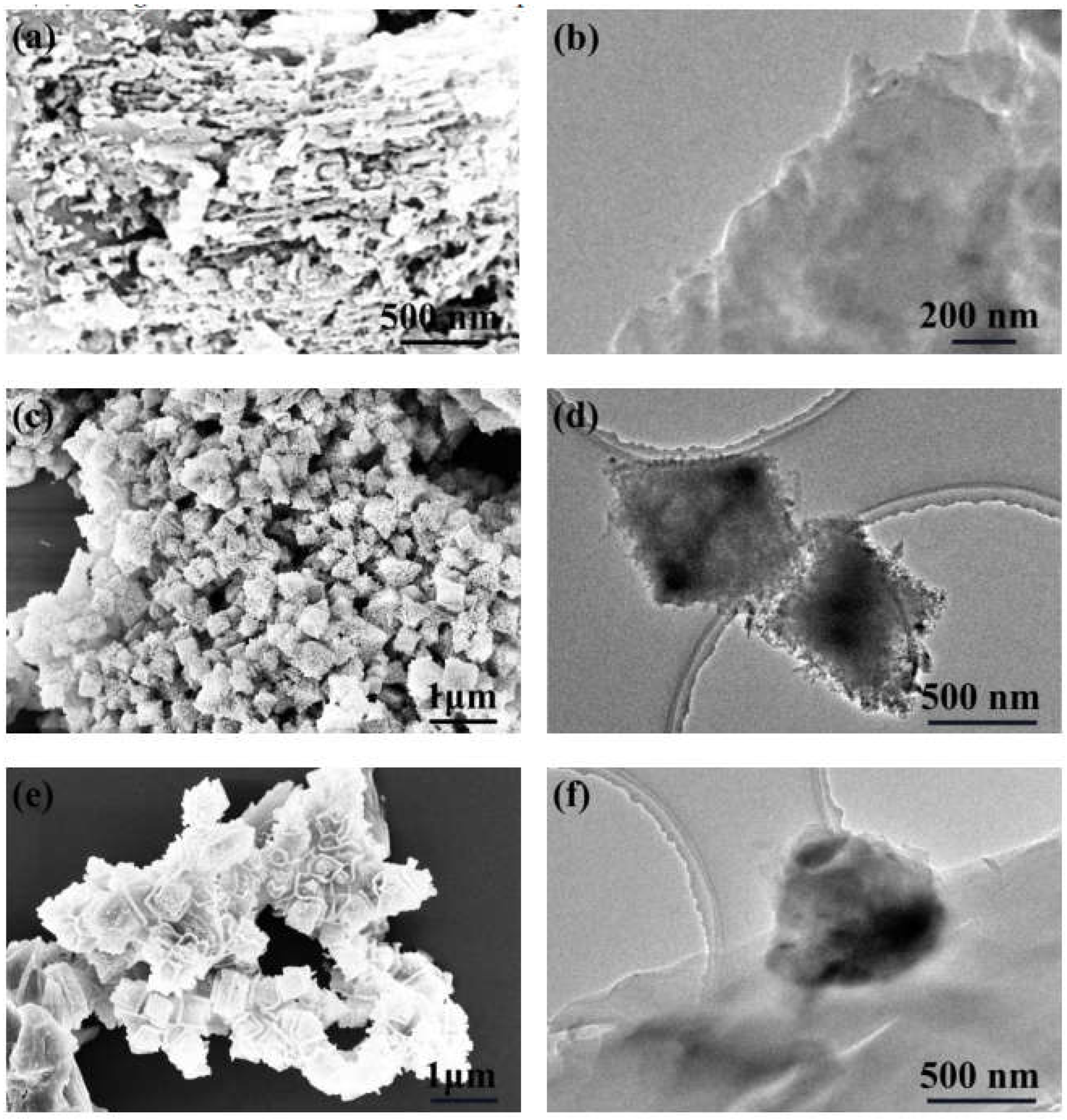 Molecules 27 08537 g002