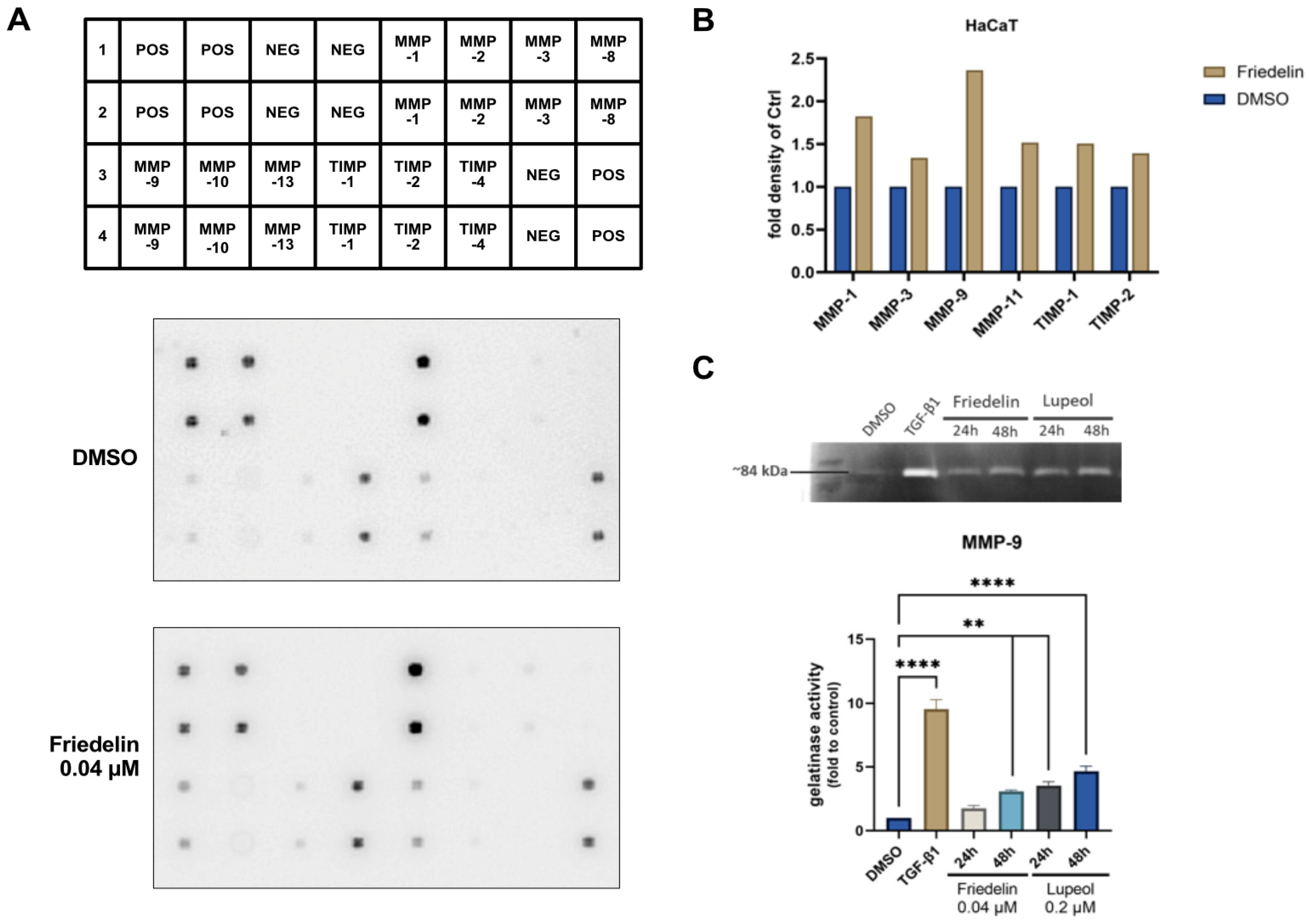 Molecules 27 08540 g004
