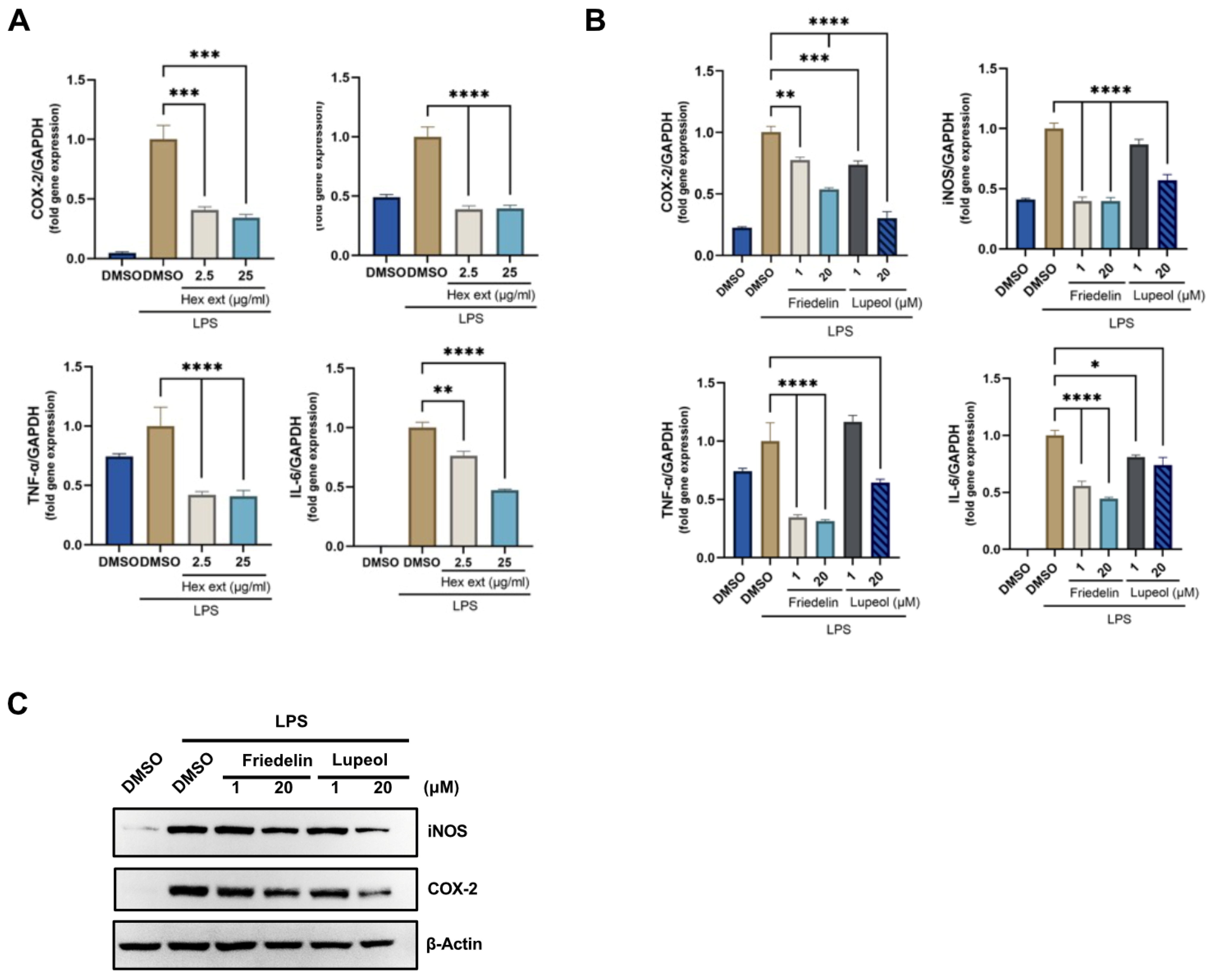 Molecules 27 08540 g006