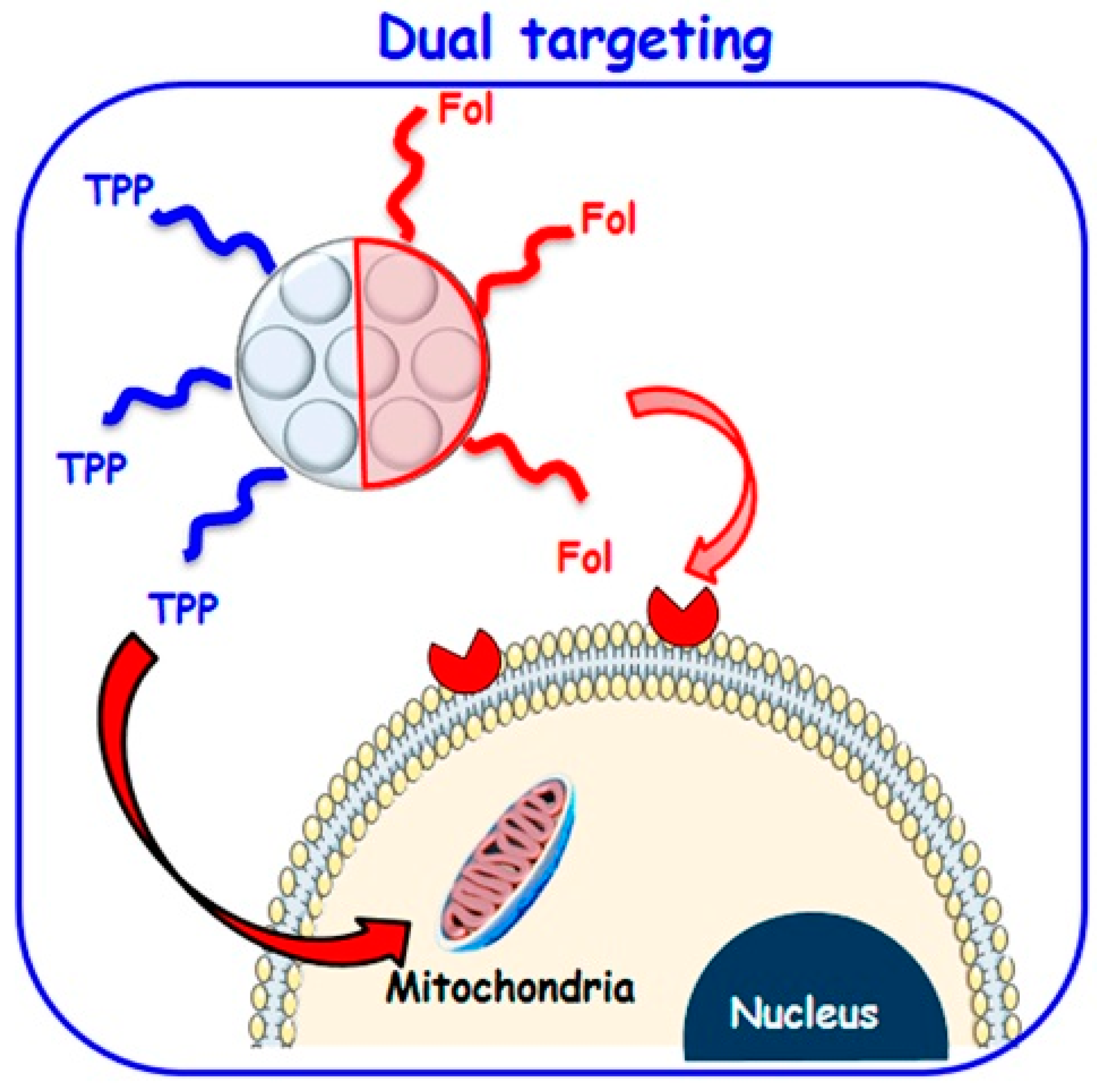 Molecules 27 08543 g007 Molecules 27 08543 g007