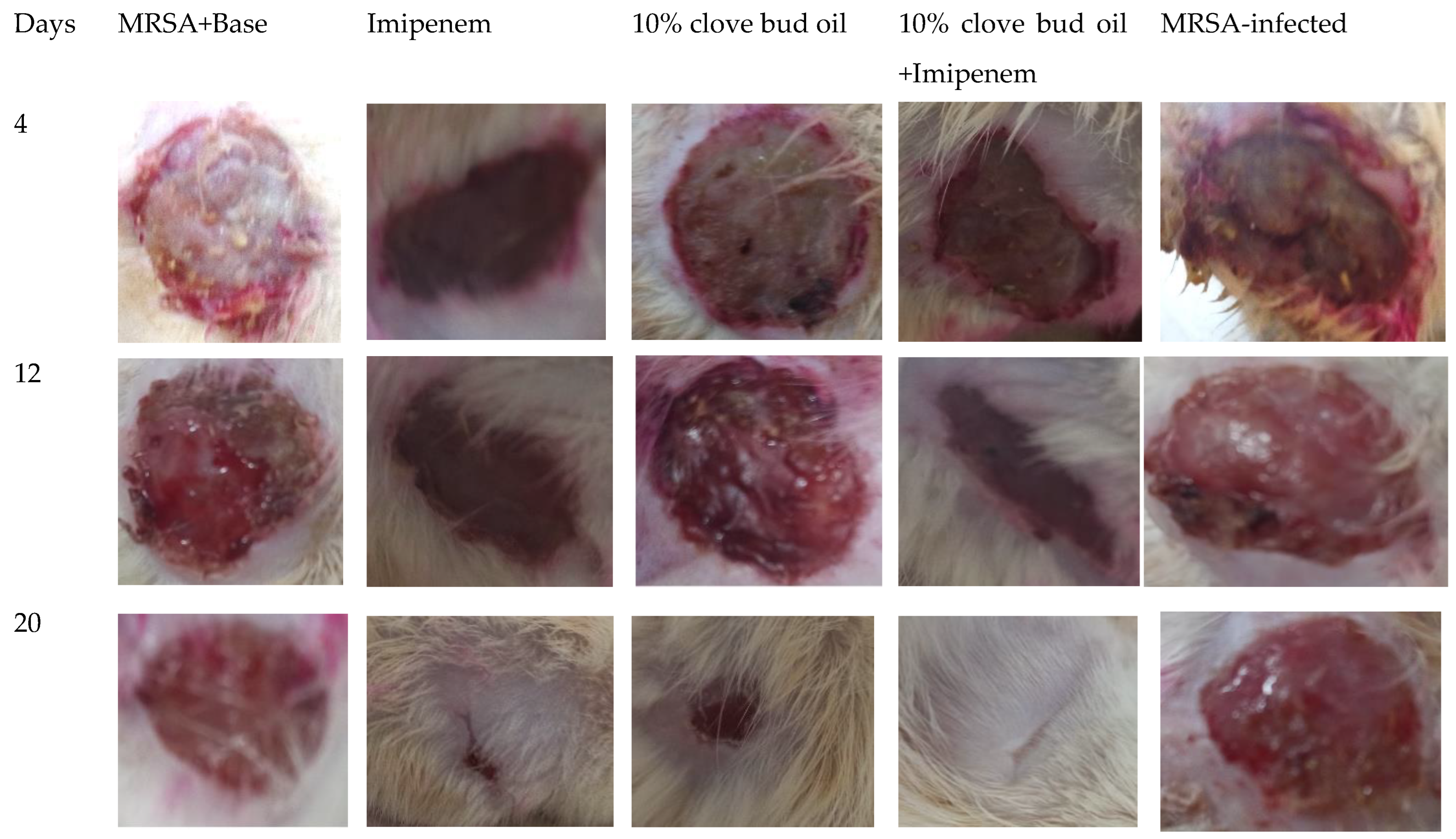 Molecules 27 08551 g004 Molecules 27 08551 g004