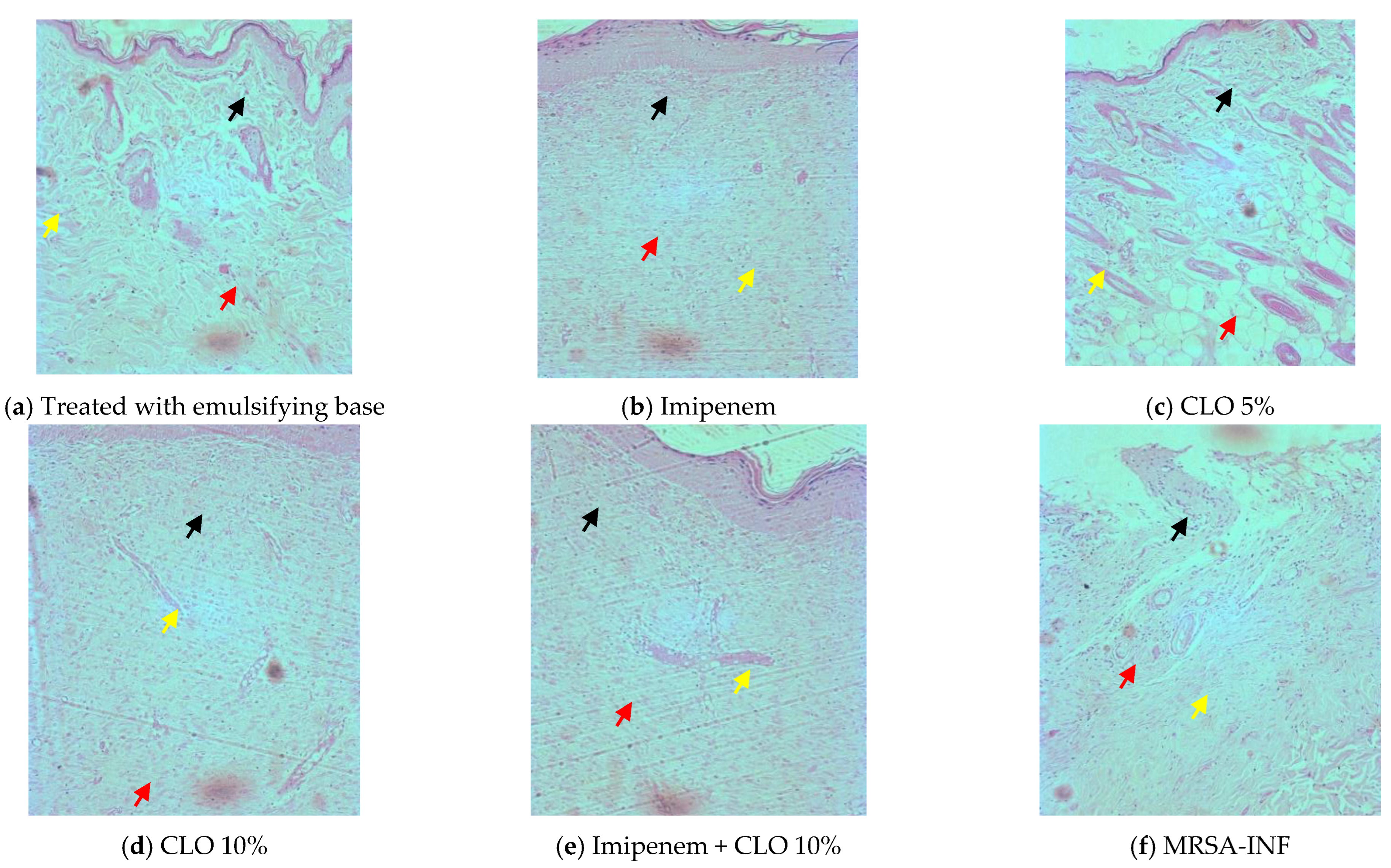 Molecules 27 08551 g005 Molecules 27 08551 g005