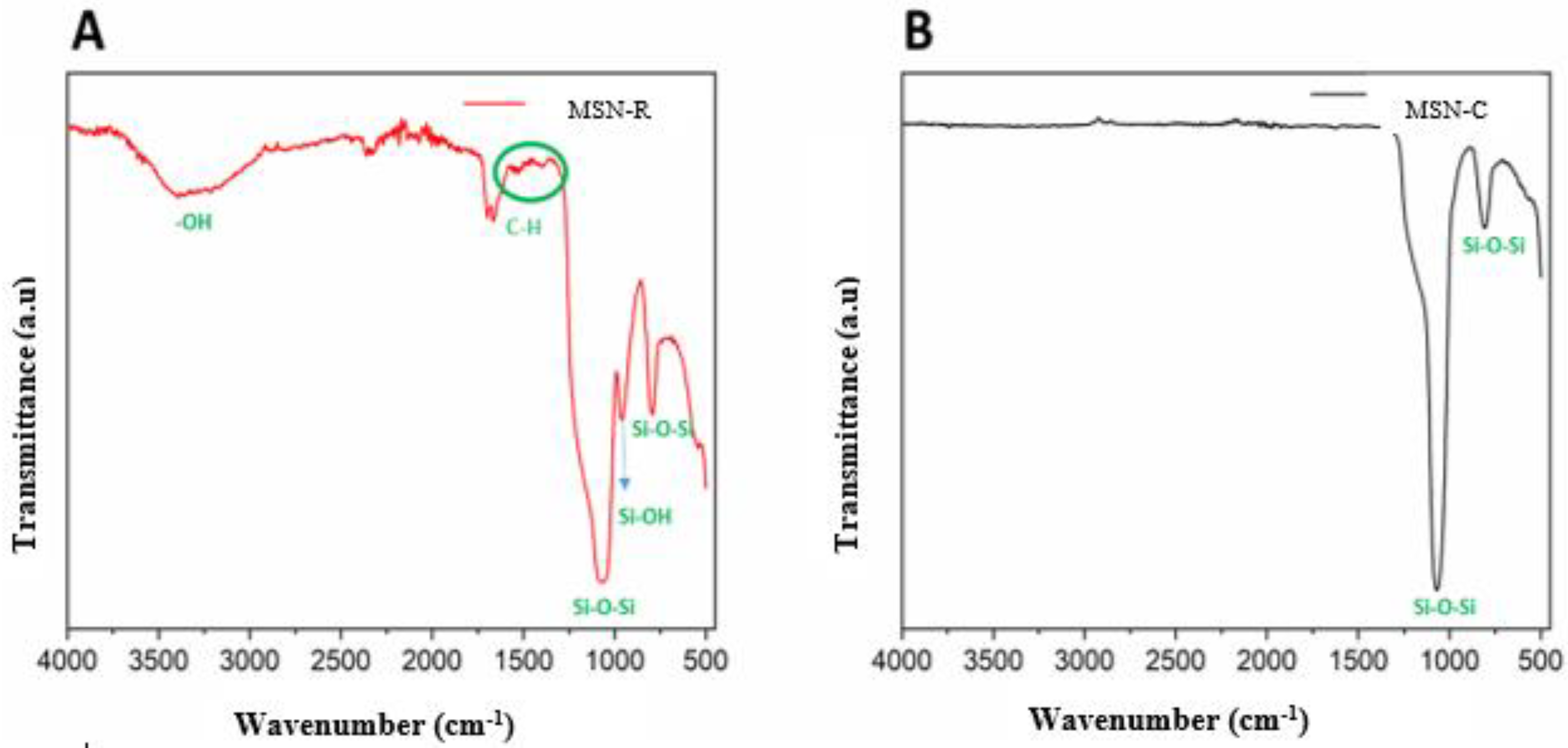 Molecules 27 08558 g001