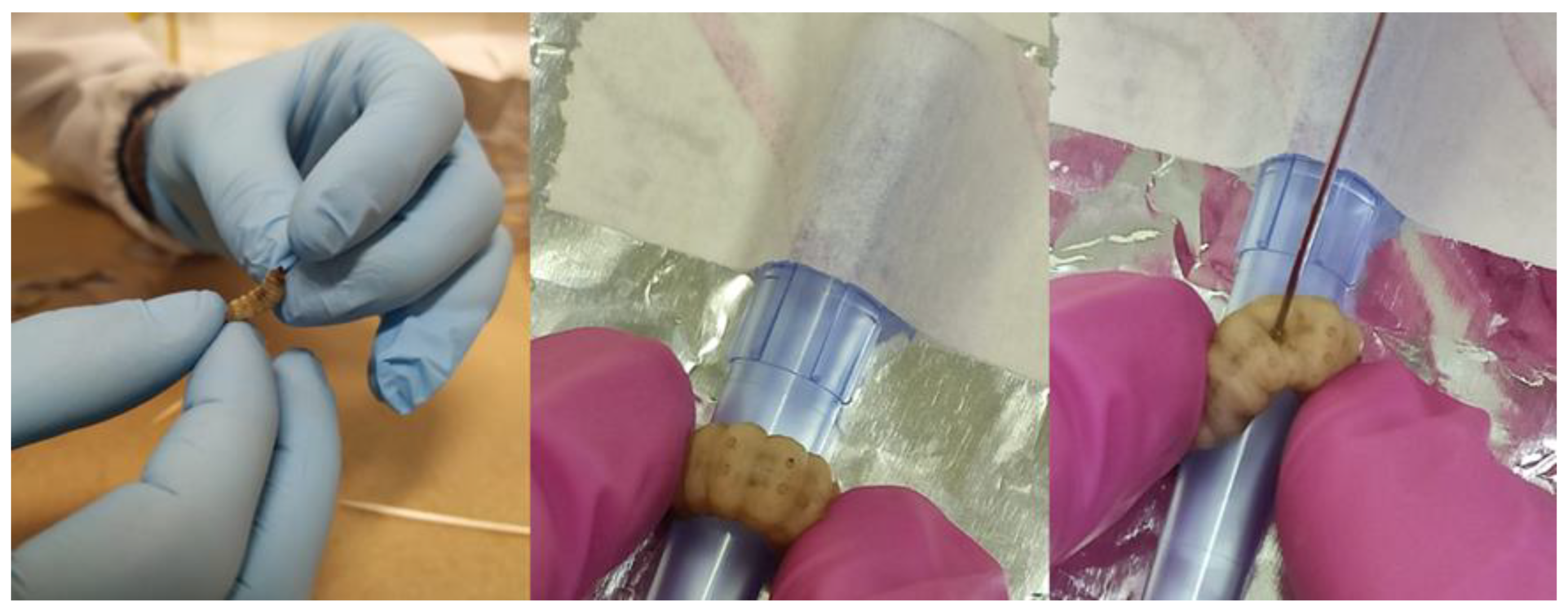 Molecules 27 08558 g004