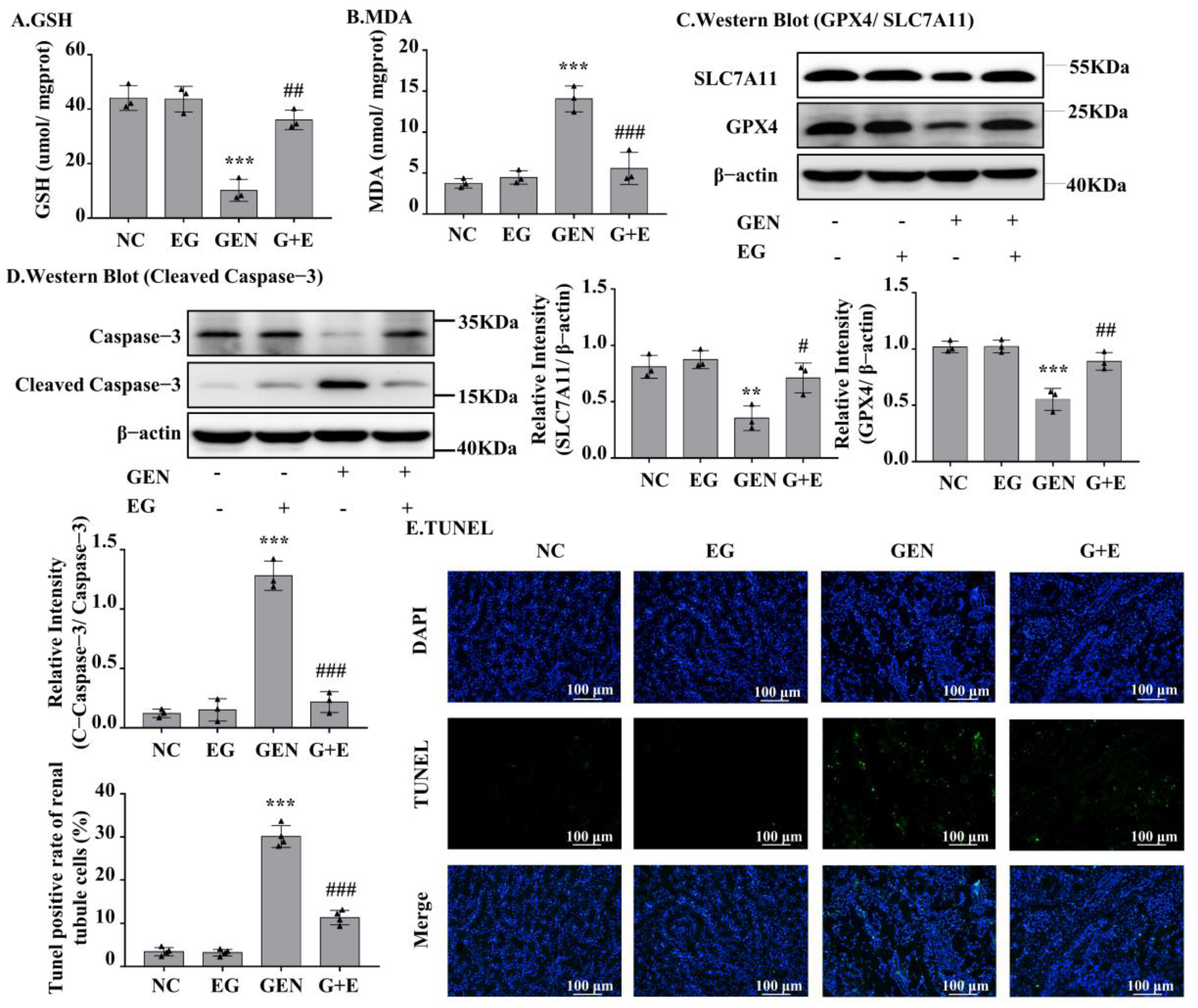 Molecules 27 08564 g002