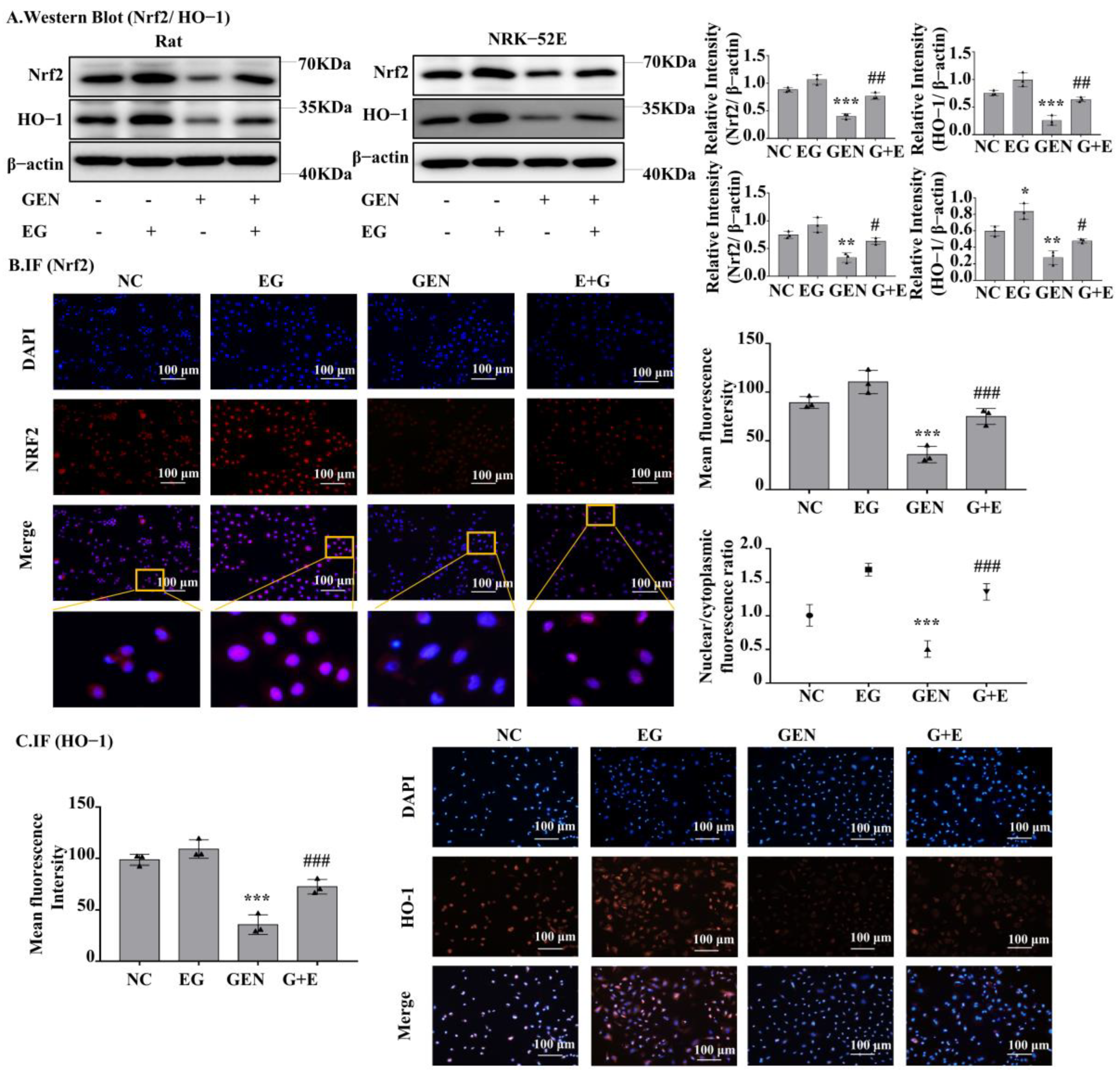 Molecules 27 08564 g005