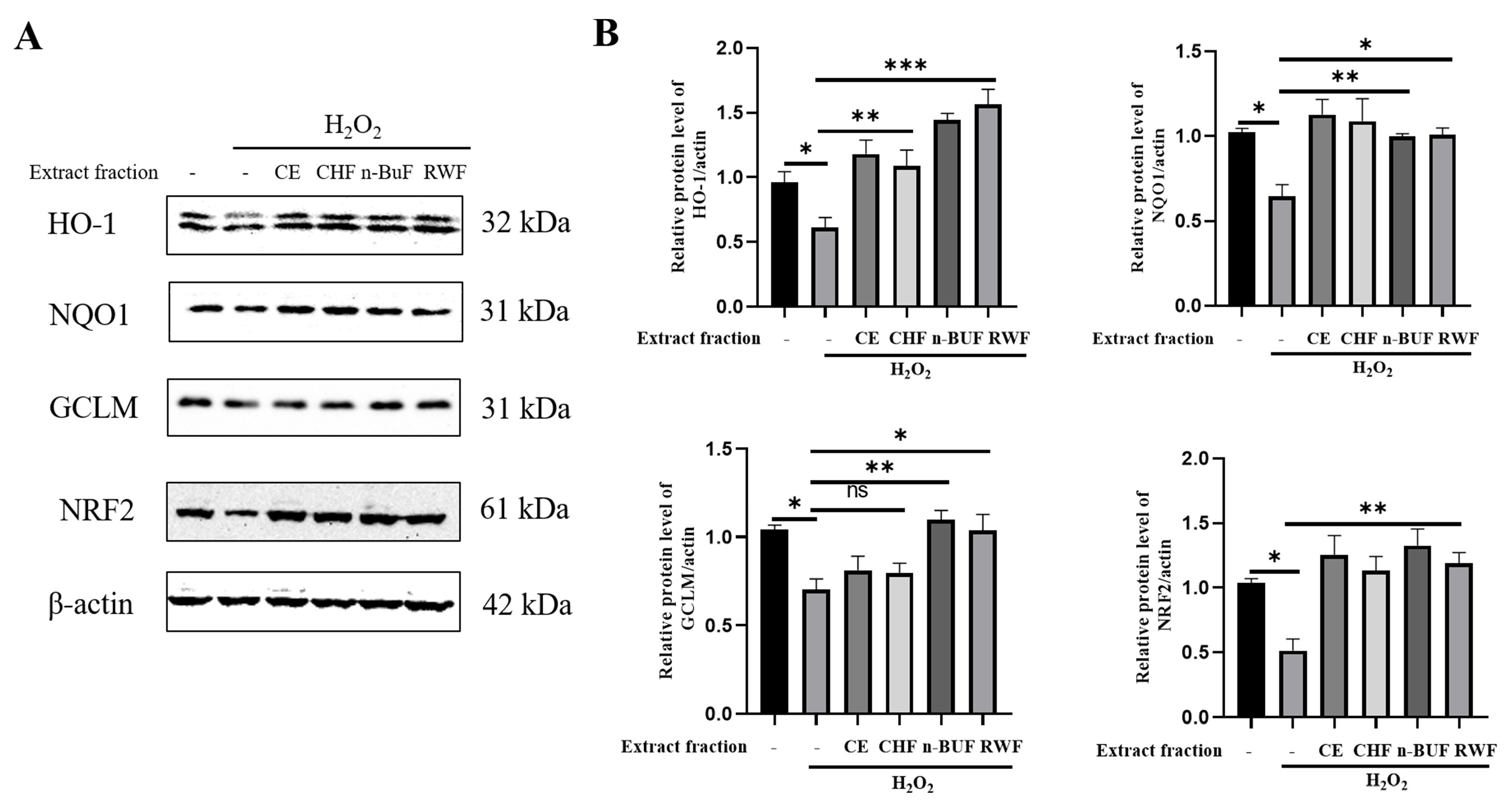 Molecules 27 08568 g002 Molecules 27 08568 g002