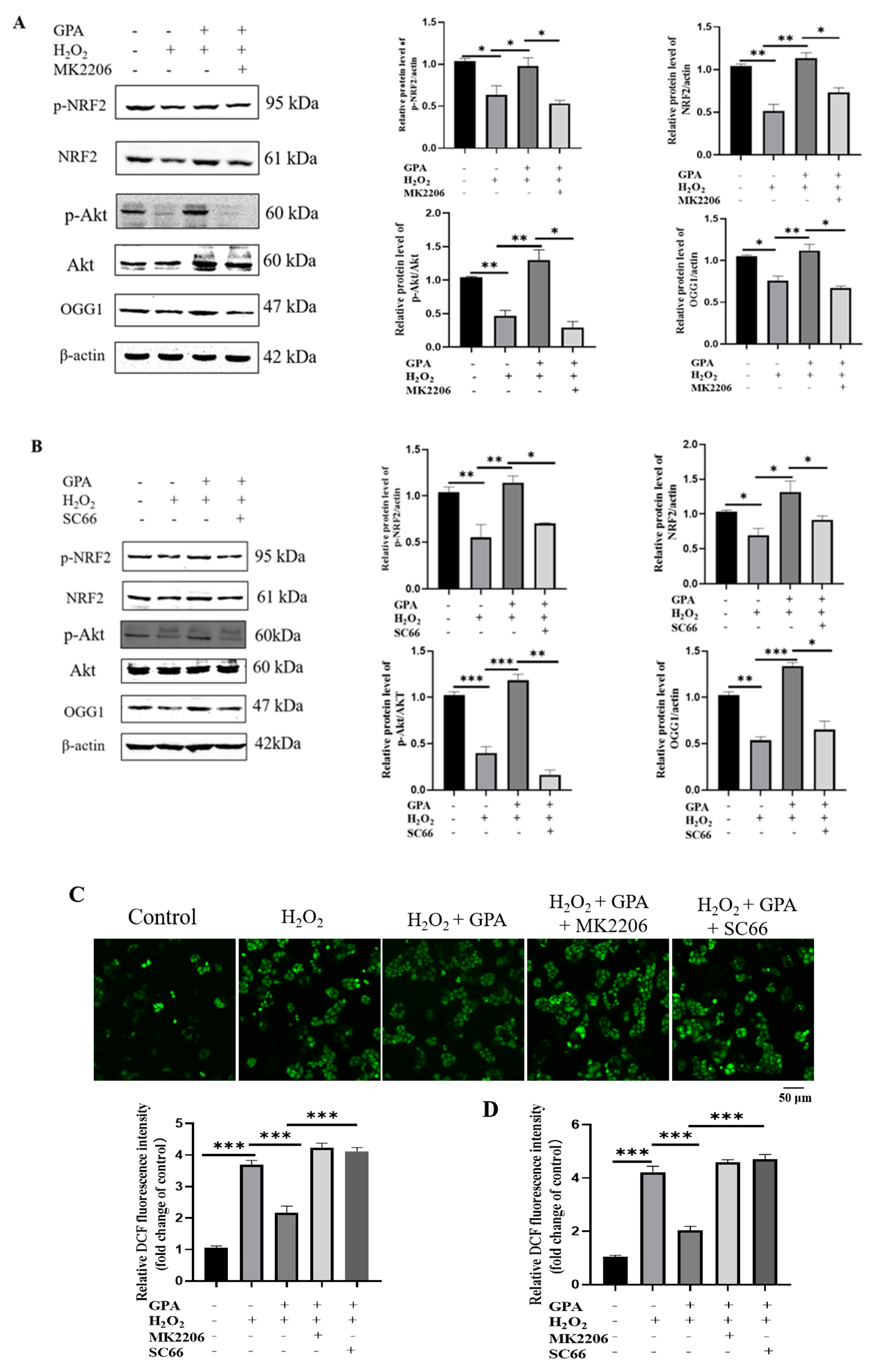 Molecules 27 08568 g005 Molecules 27 08568 g005
