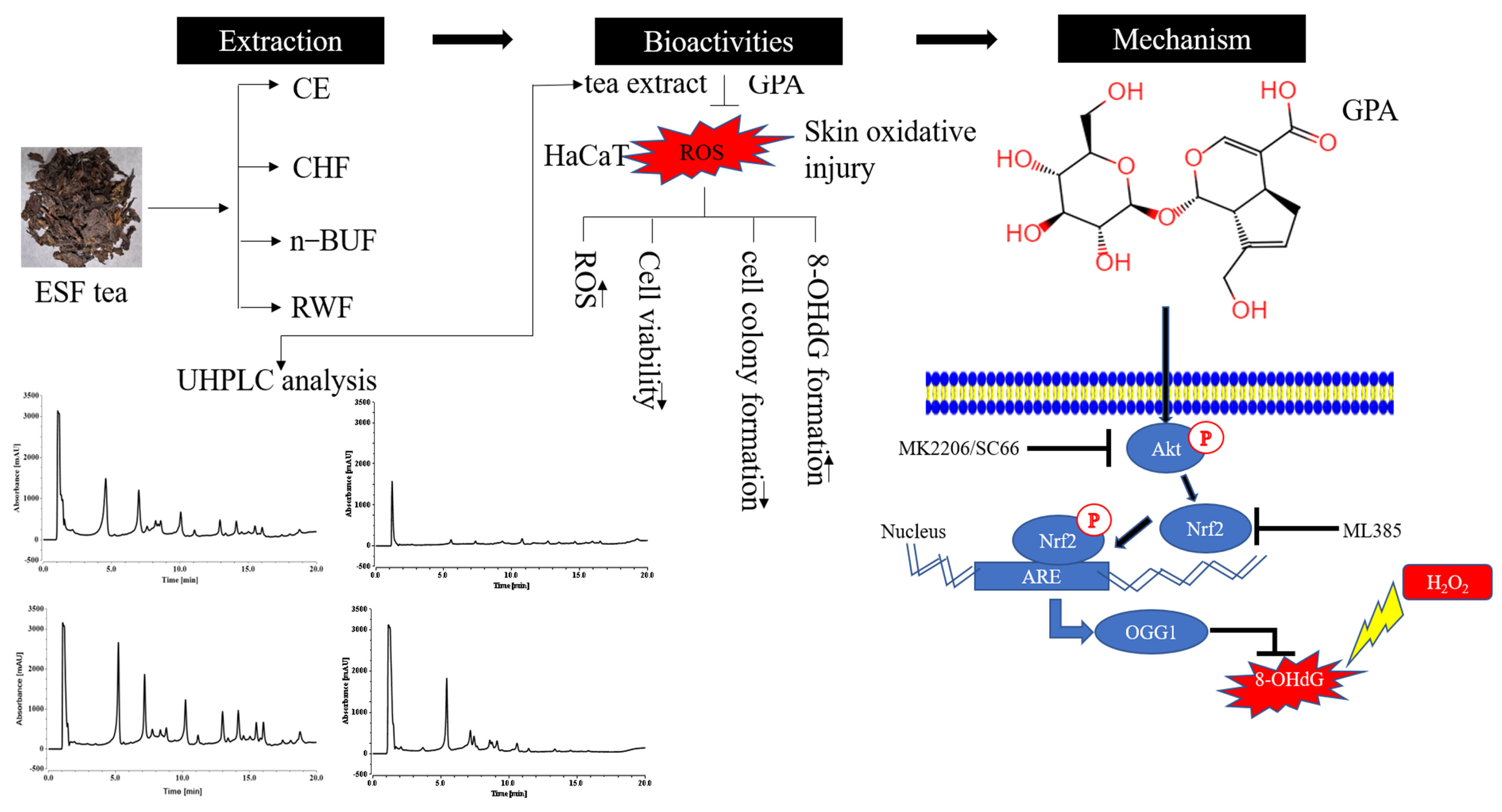 Molecules 27 08568 g006 Molecules 27 08568 g006