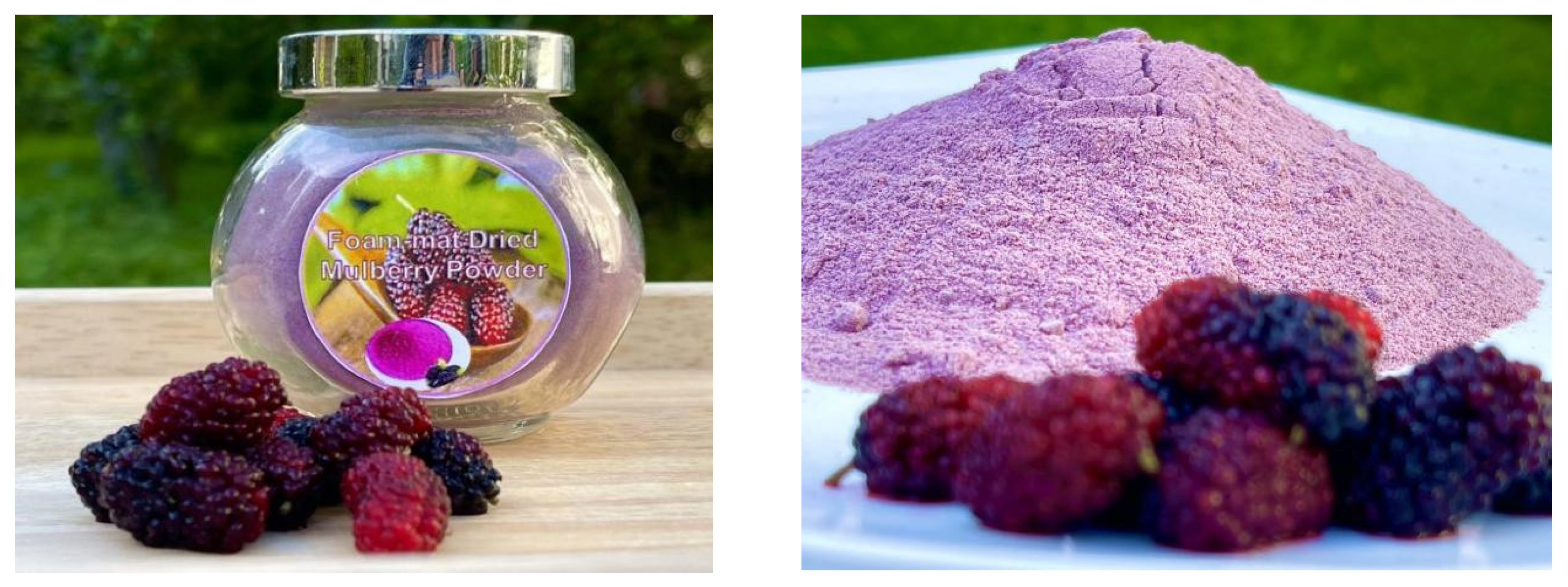 Molecules 27 08570 g005 Molecules 27 08570 g005