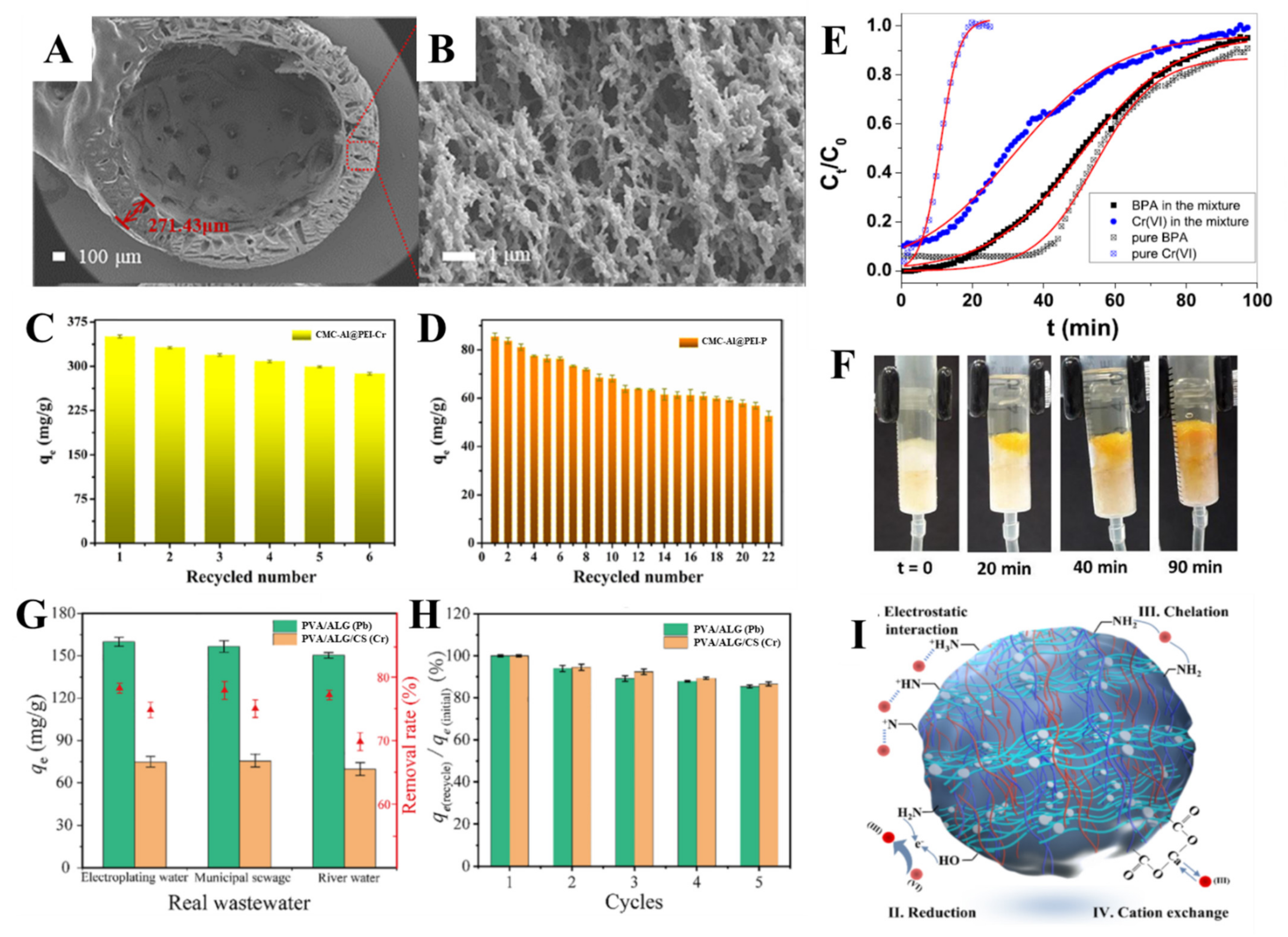 Molecules 27 08574 g010 Molecules 27 08574 g010