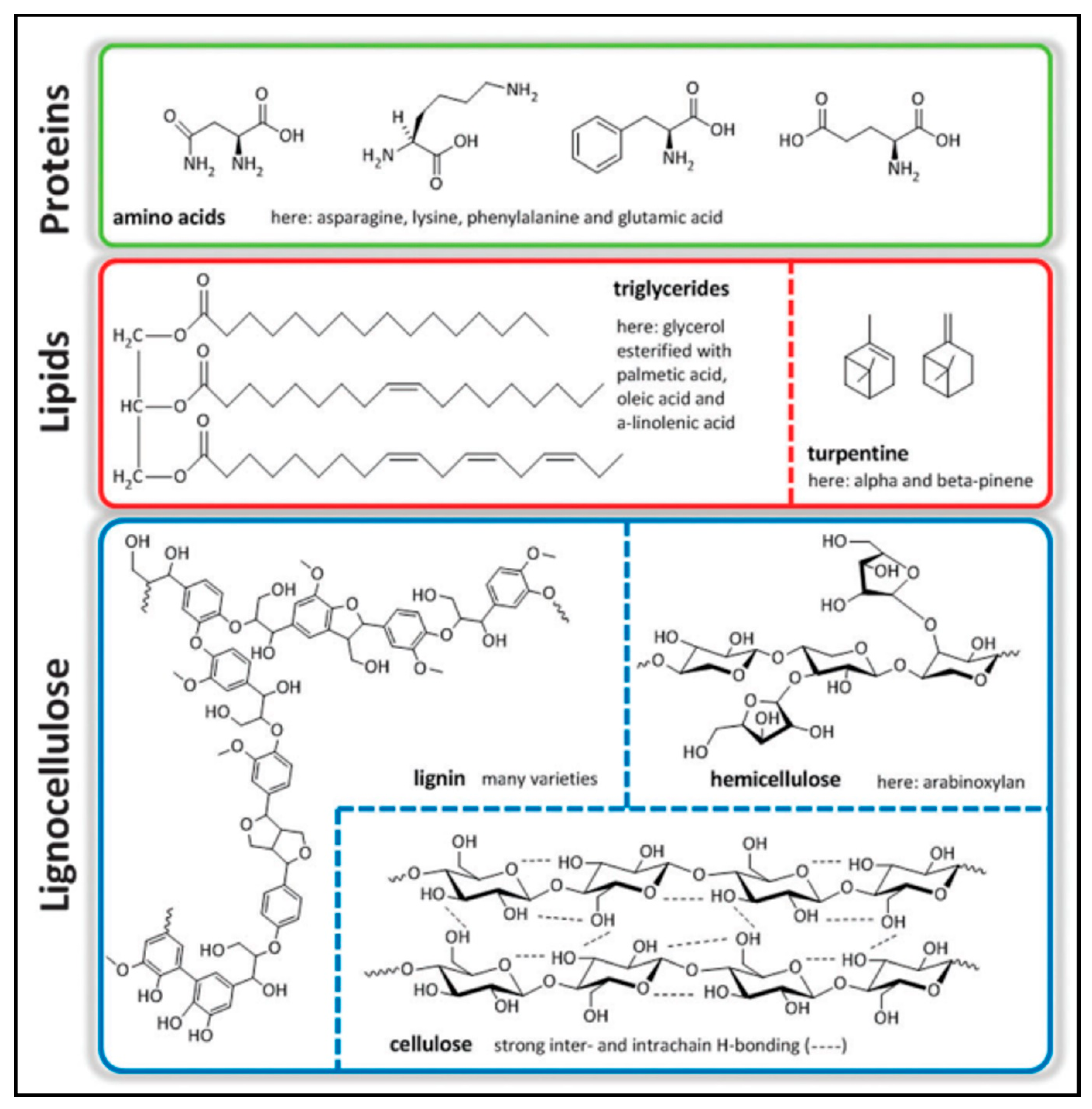 Molecules 27 08578 g001