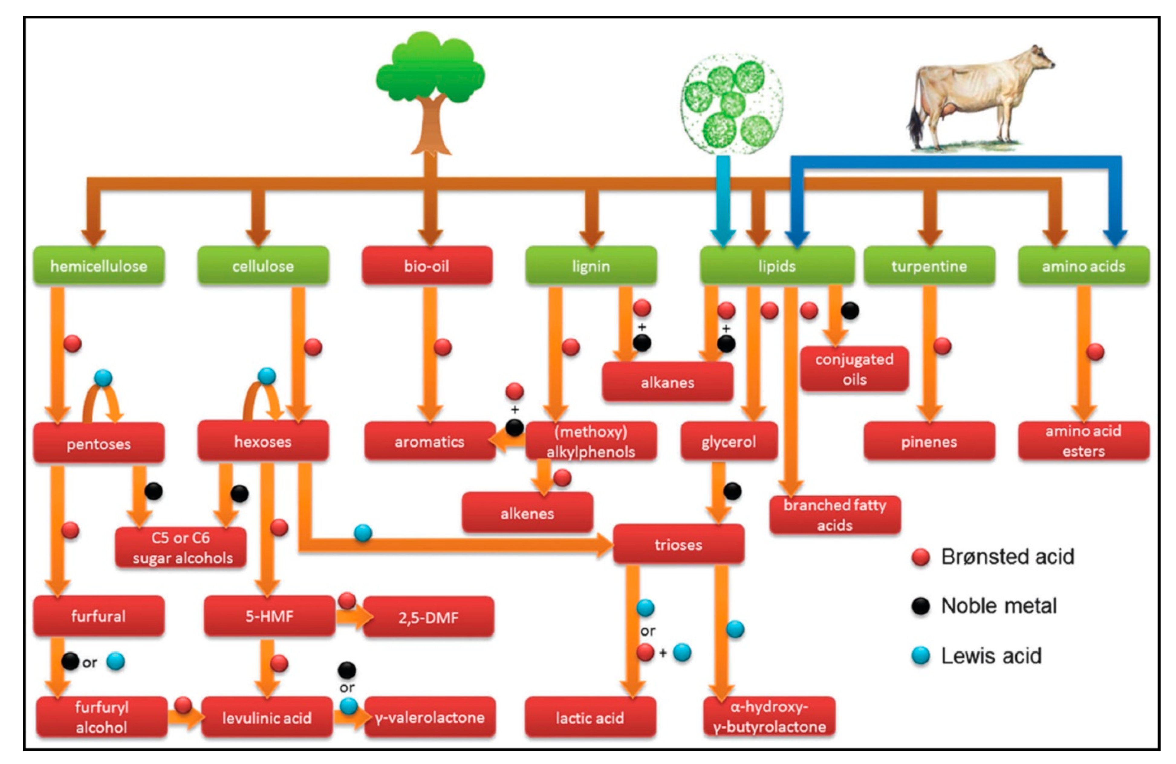 Molecules 27 08578 g002