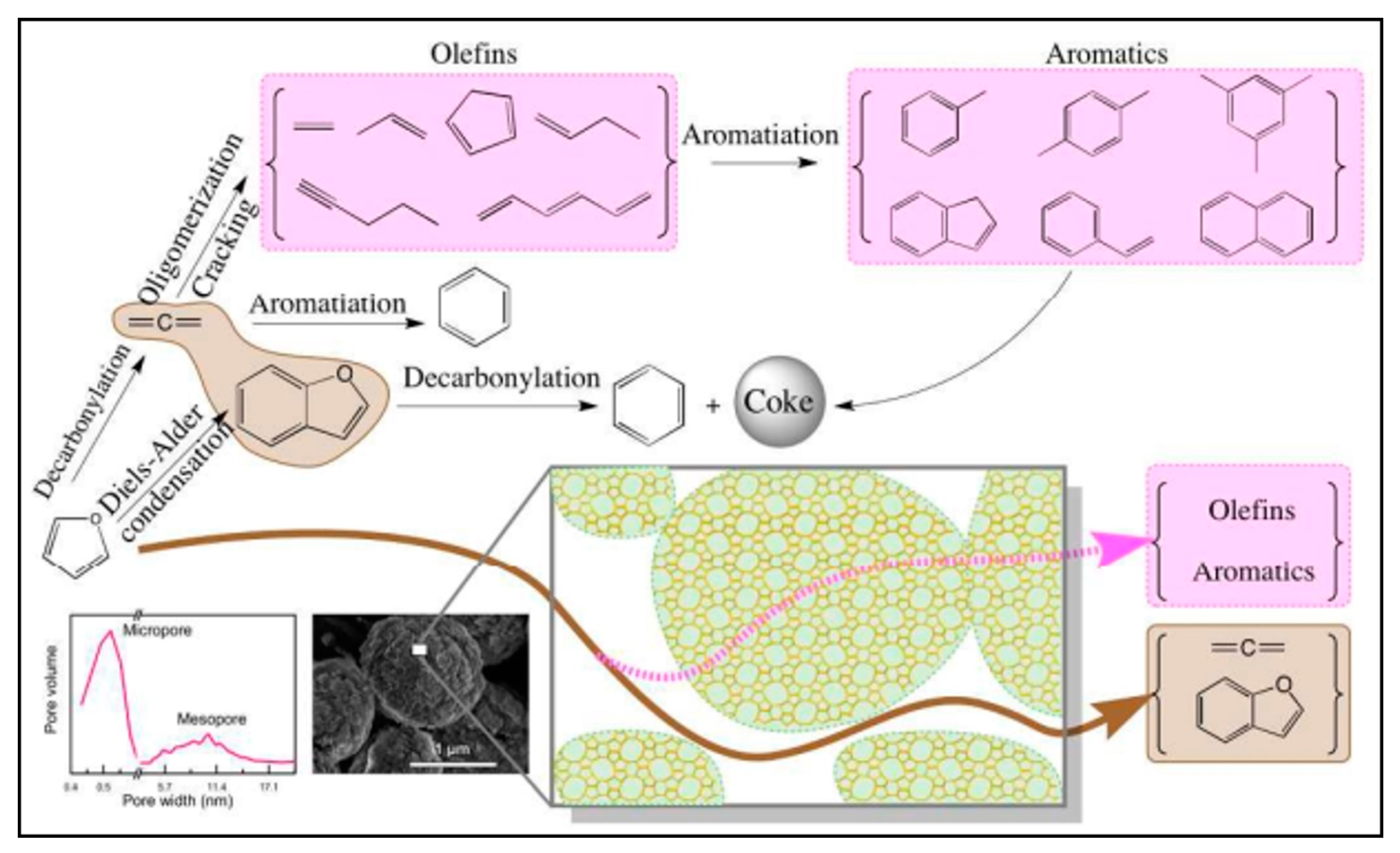 Molecules 27 08578 g007