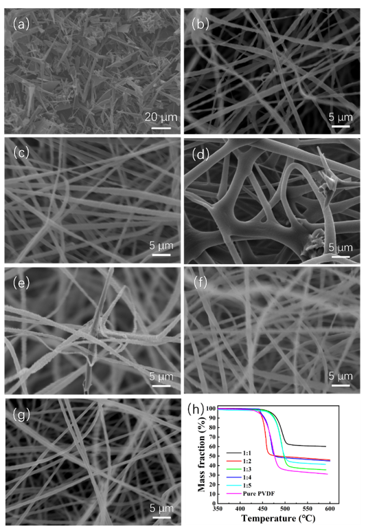 Molecules 27 08579 g001
