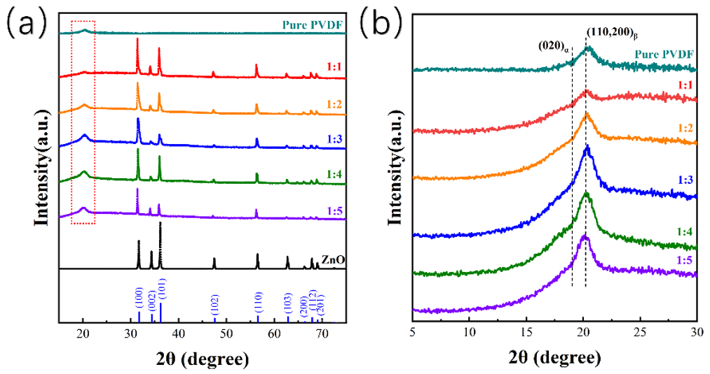 Molecules 27 08579 g004