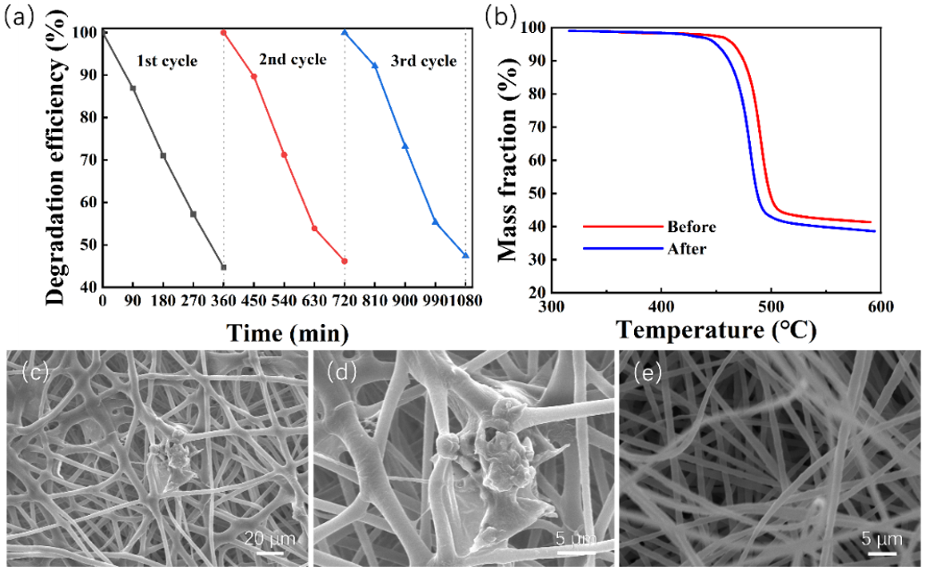 Molecules 27 08579 g006