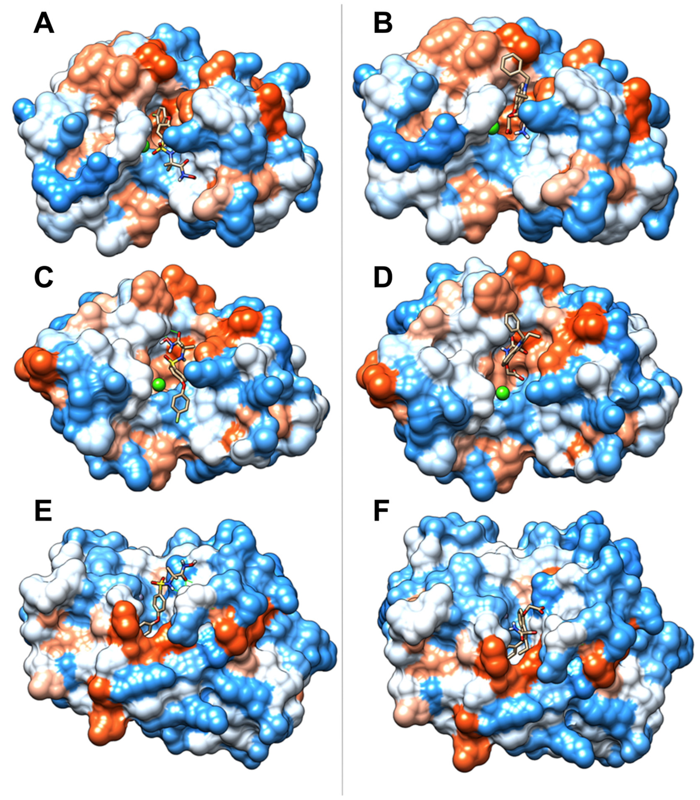 Molecules 27 08588 g008
