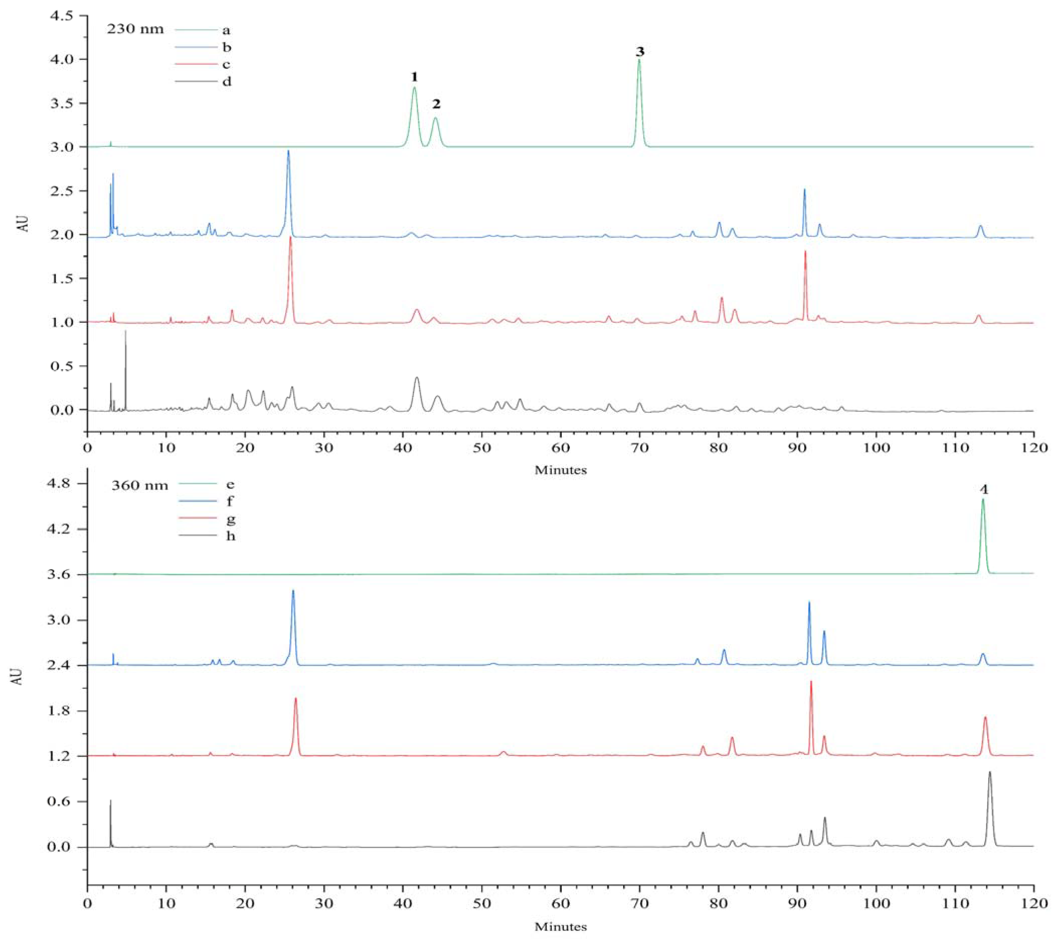 Molecules 27 08598 g007