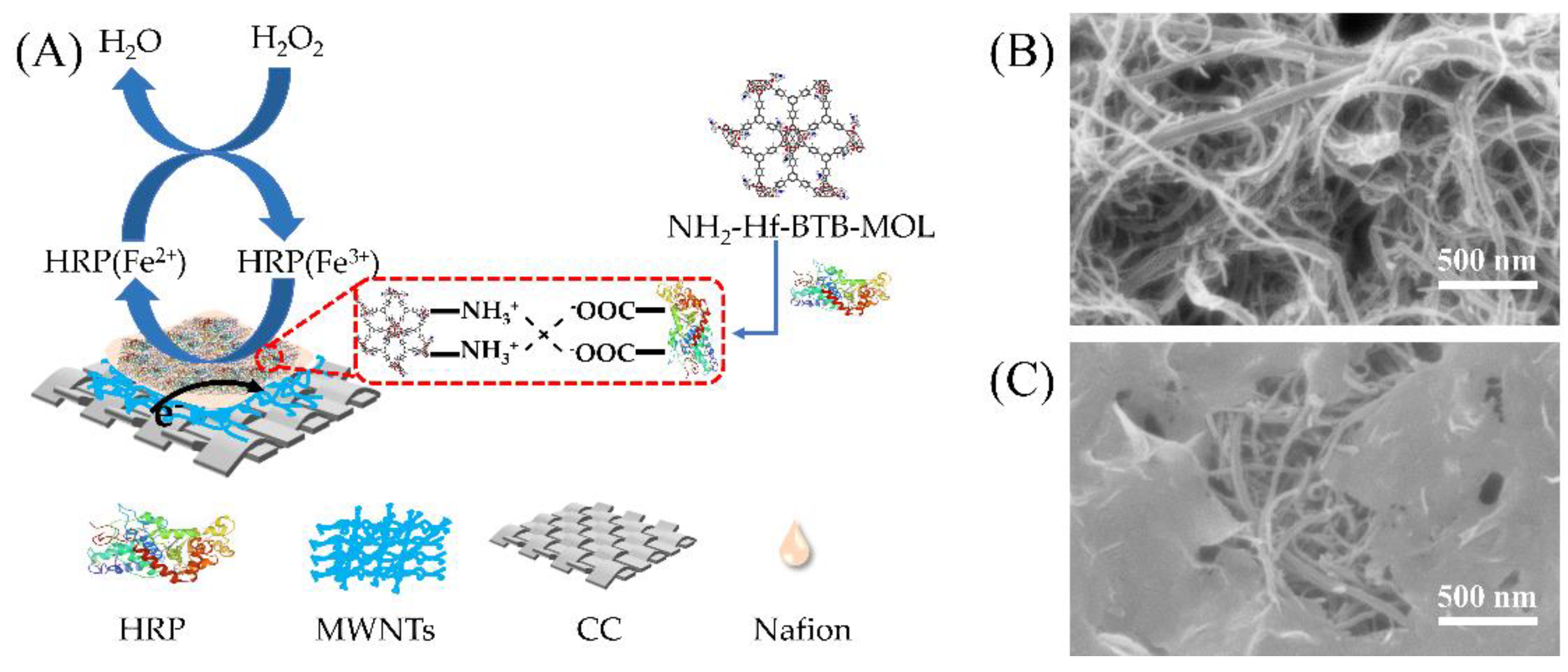 Molecules 27 08599 g006 Molecules 27 08599 g006