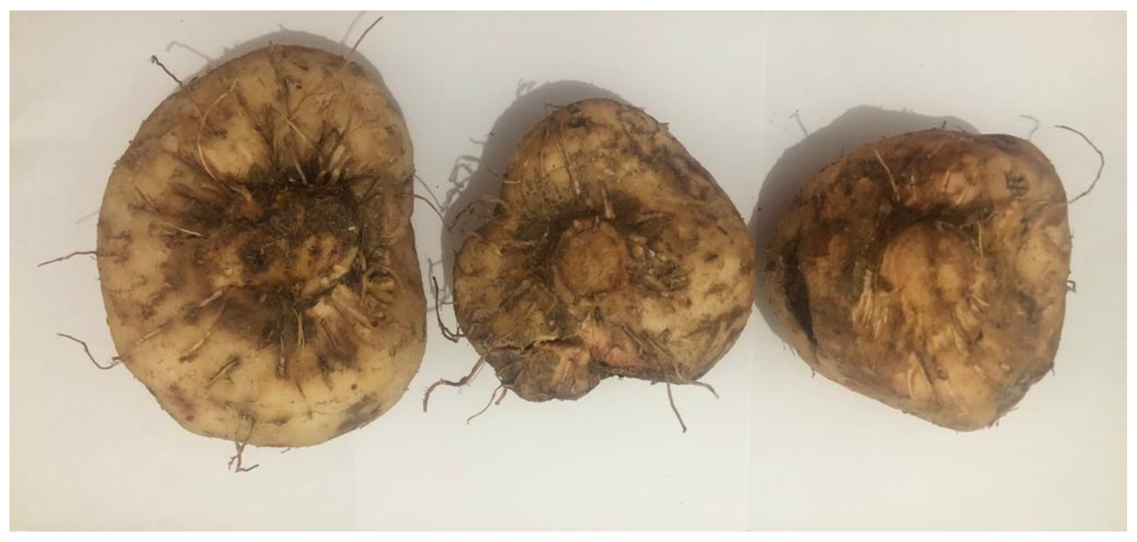 Molecules 27 08605 g007 Molecules 27 08605 g007