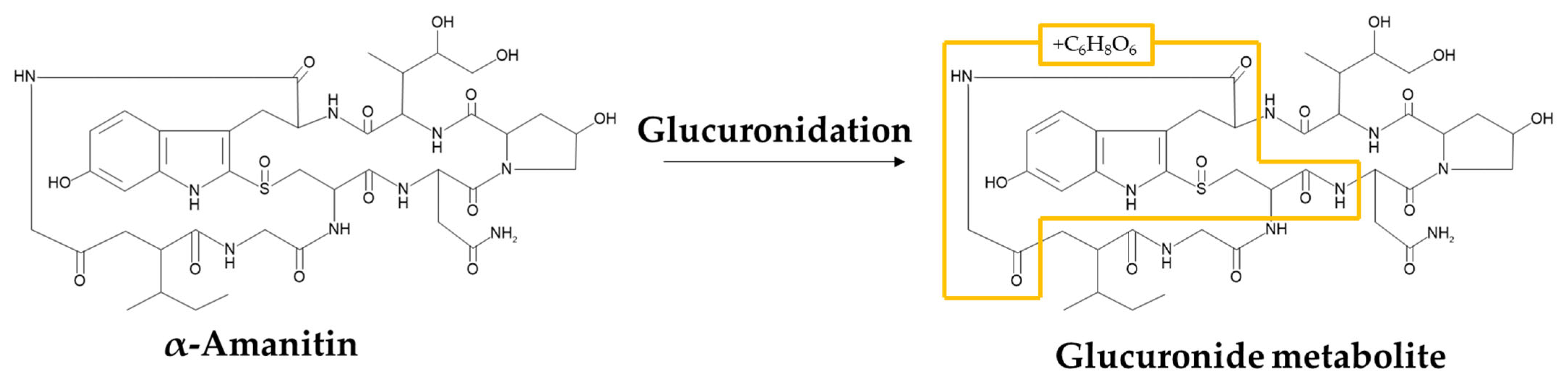 Molecules 27 08612 g008