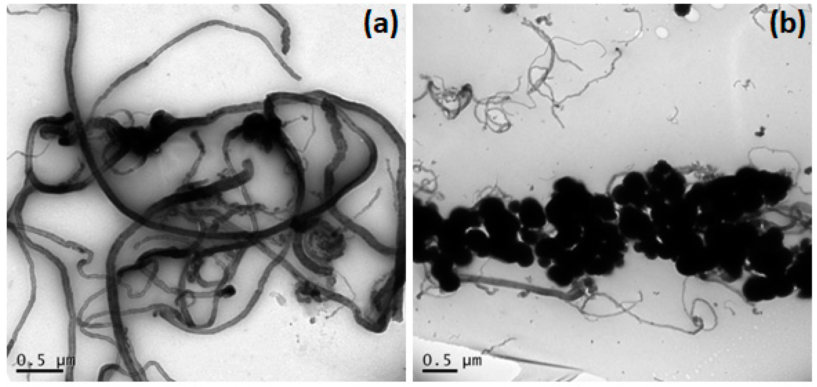 Molecules 27 08614 g002