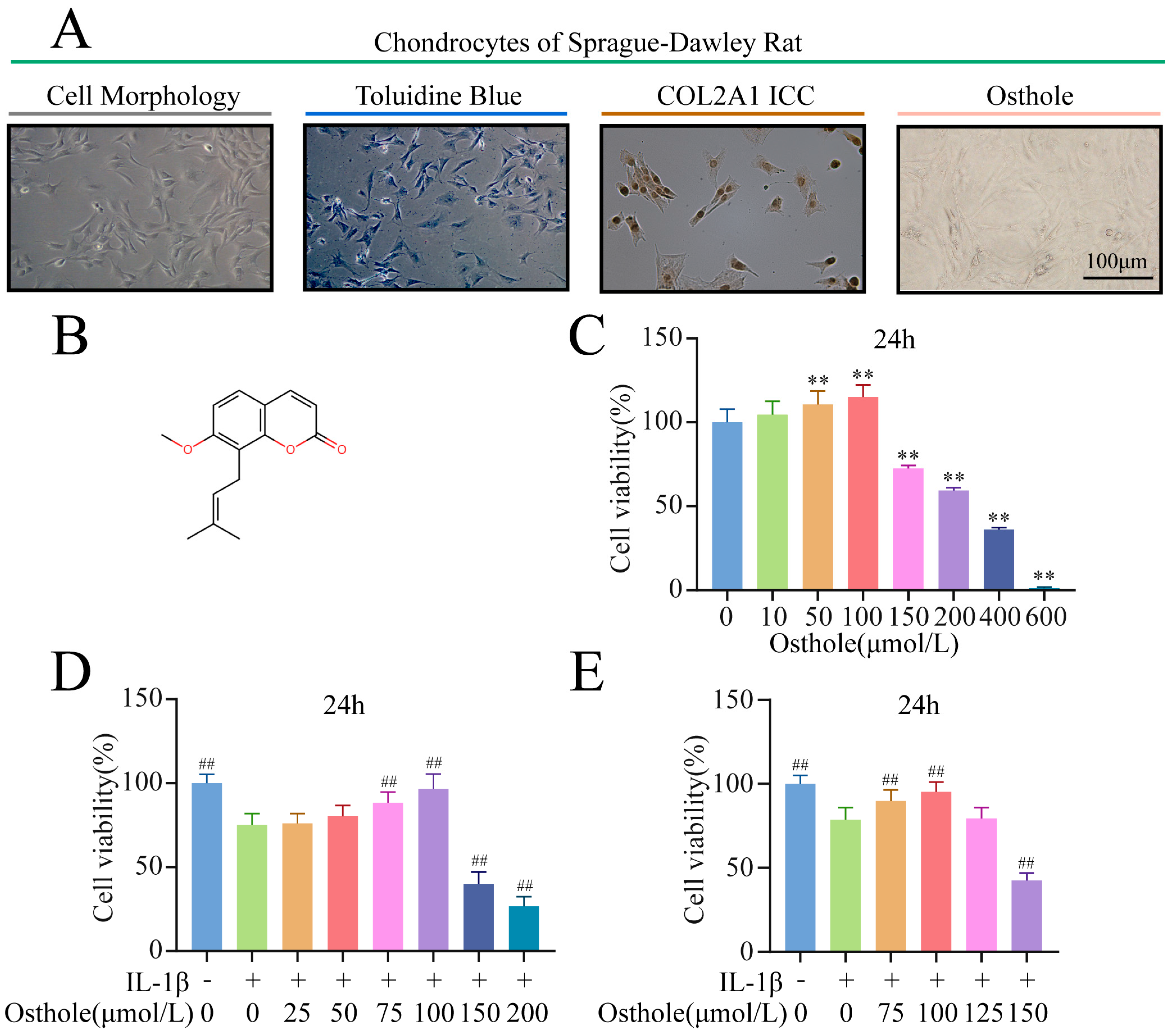Molecules 27 08624 g001