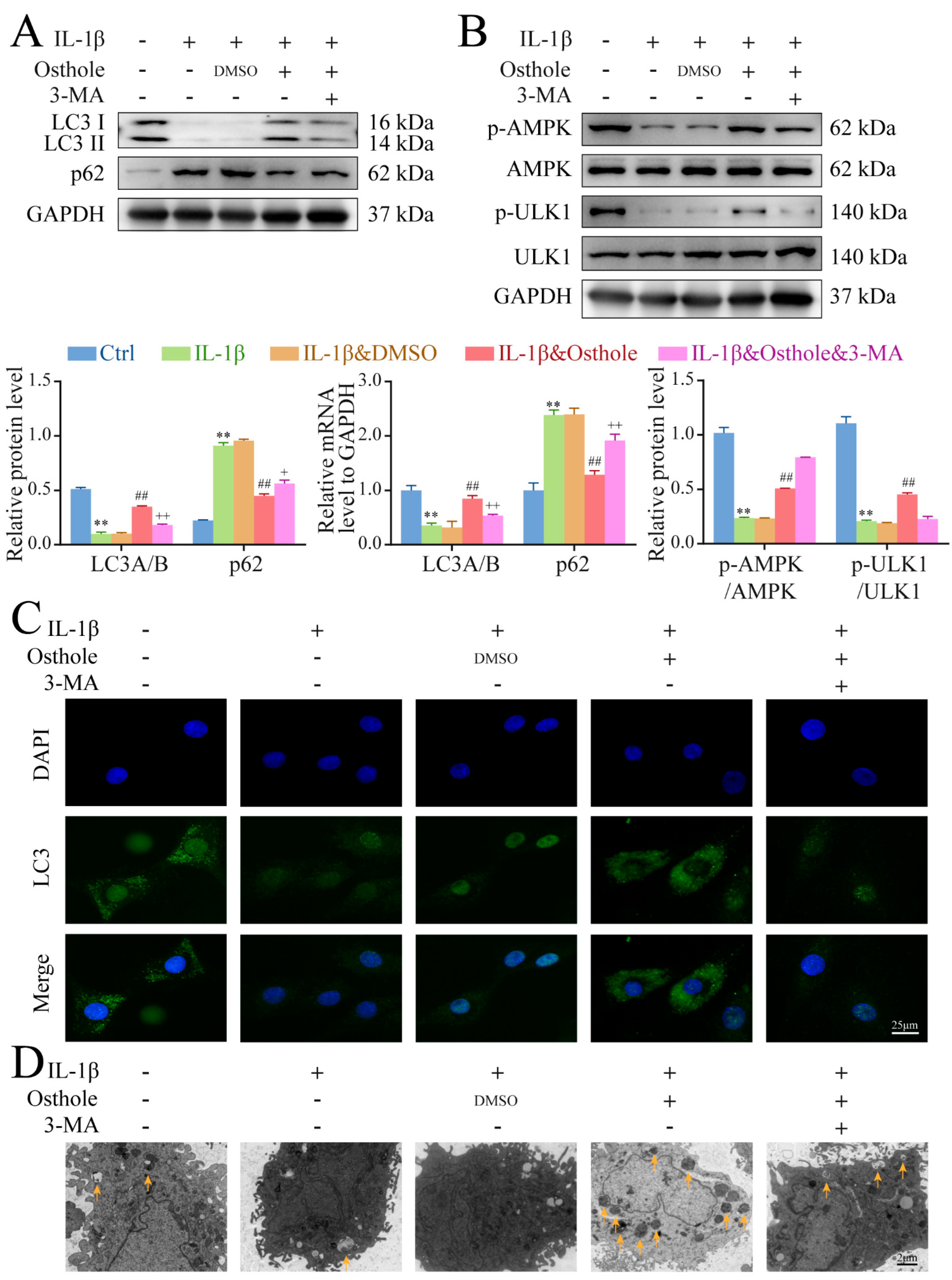Molecules 27 08624 g003