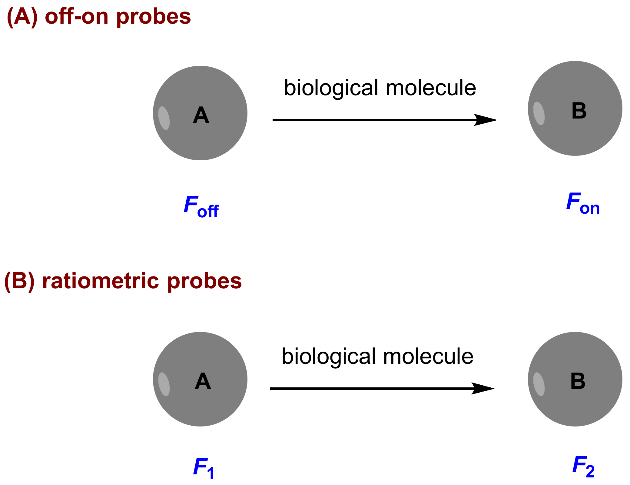 Molecules 27 08628 g001 Molecules 27 08628 g001