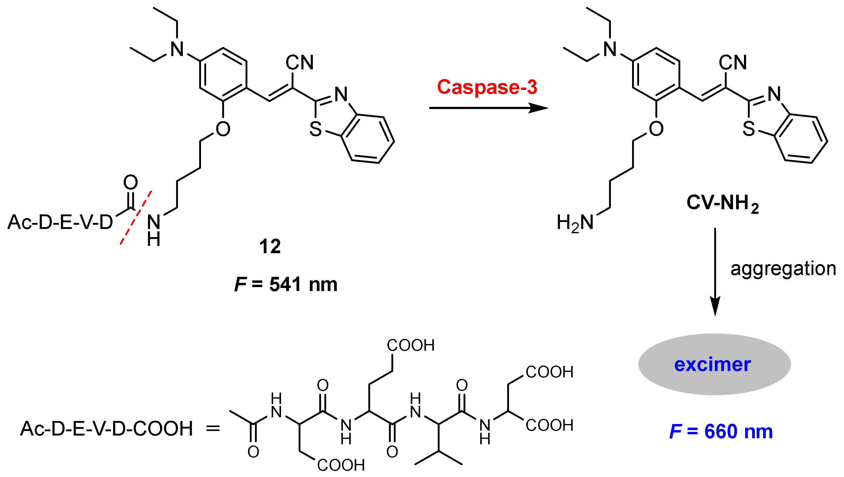 Molecules 27 08628 g034 Molecules 27 08628 g034