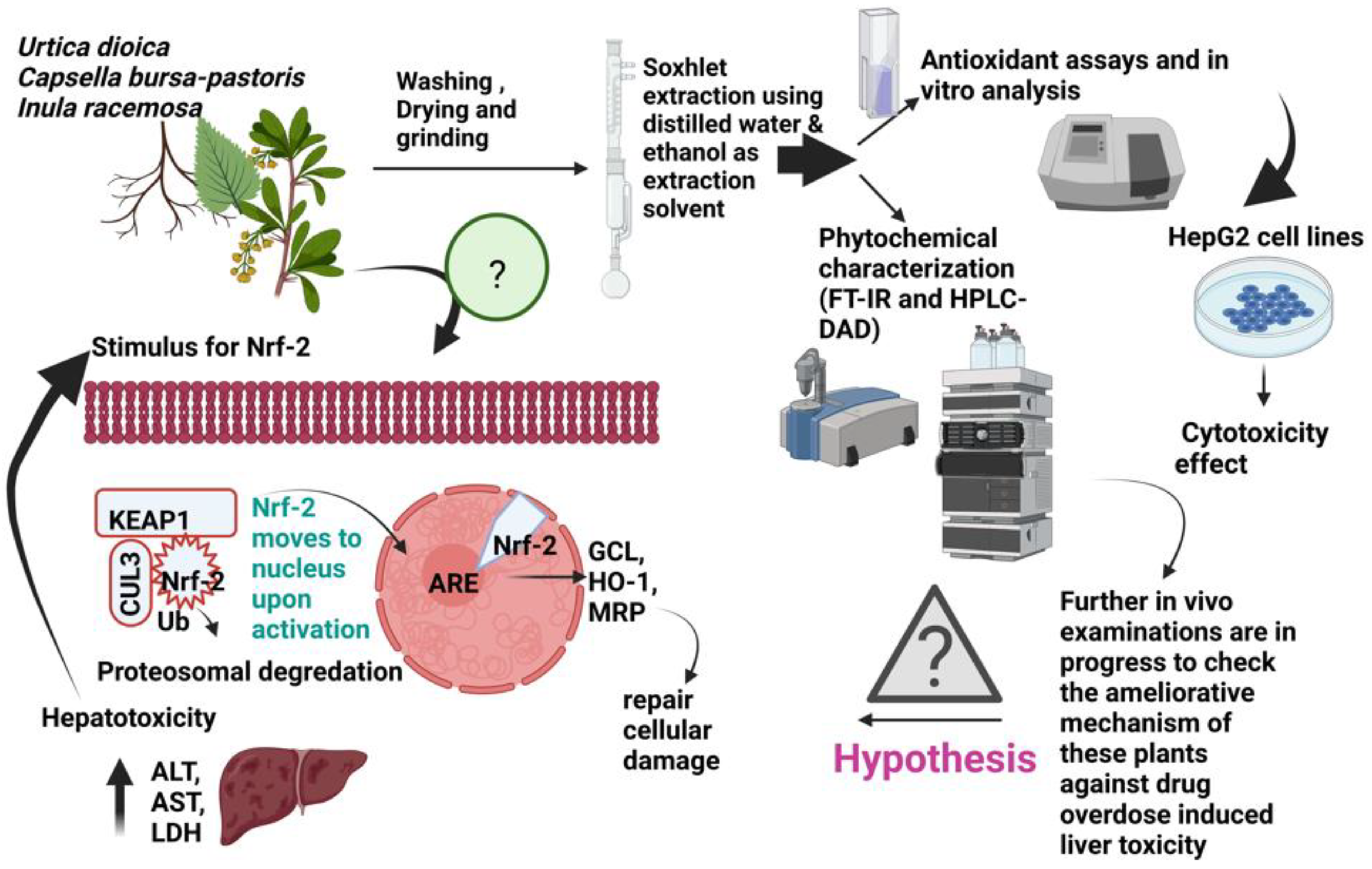 Molecules 27 08629 g001