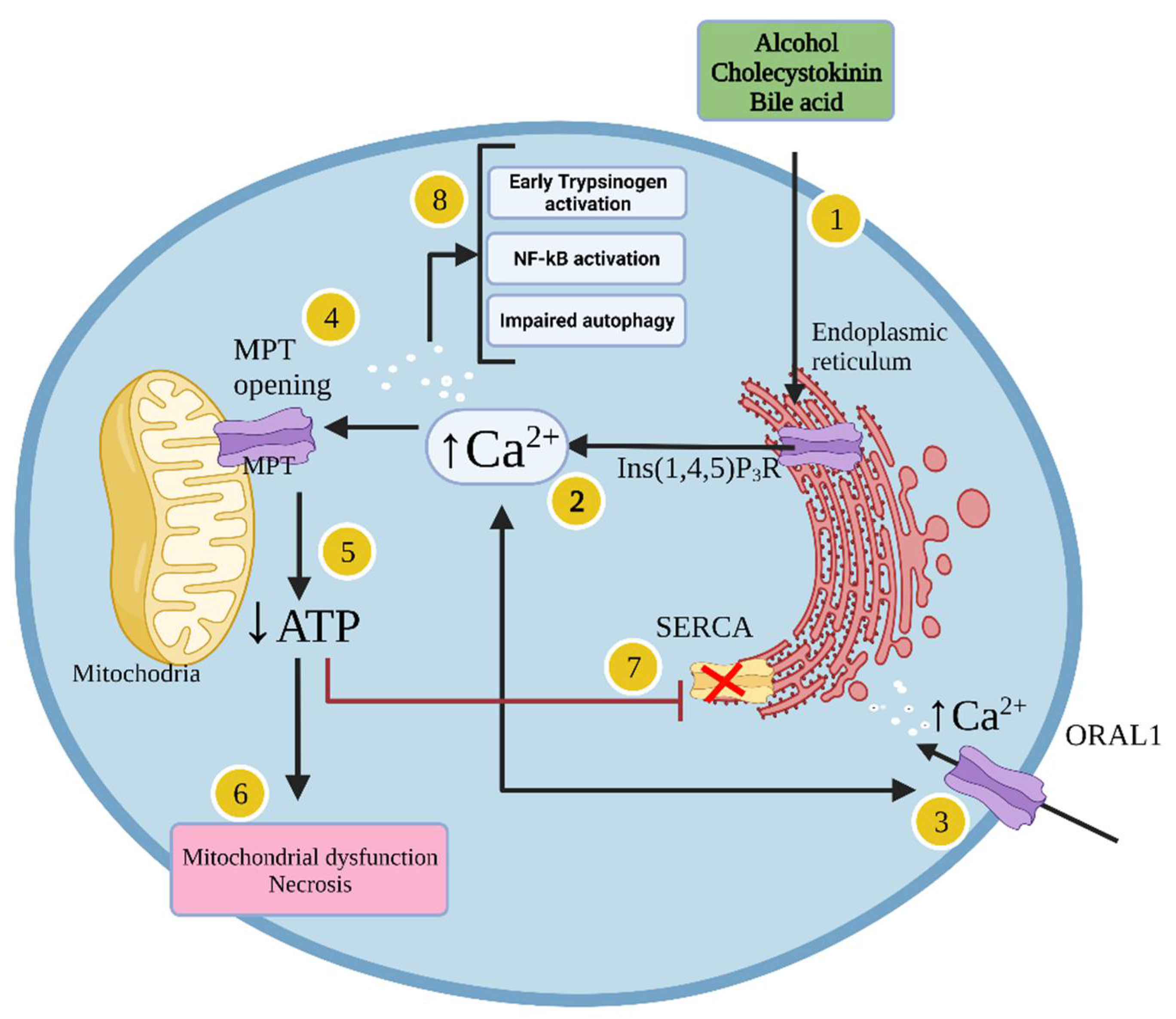Molecules 27 08630 g001