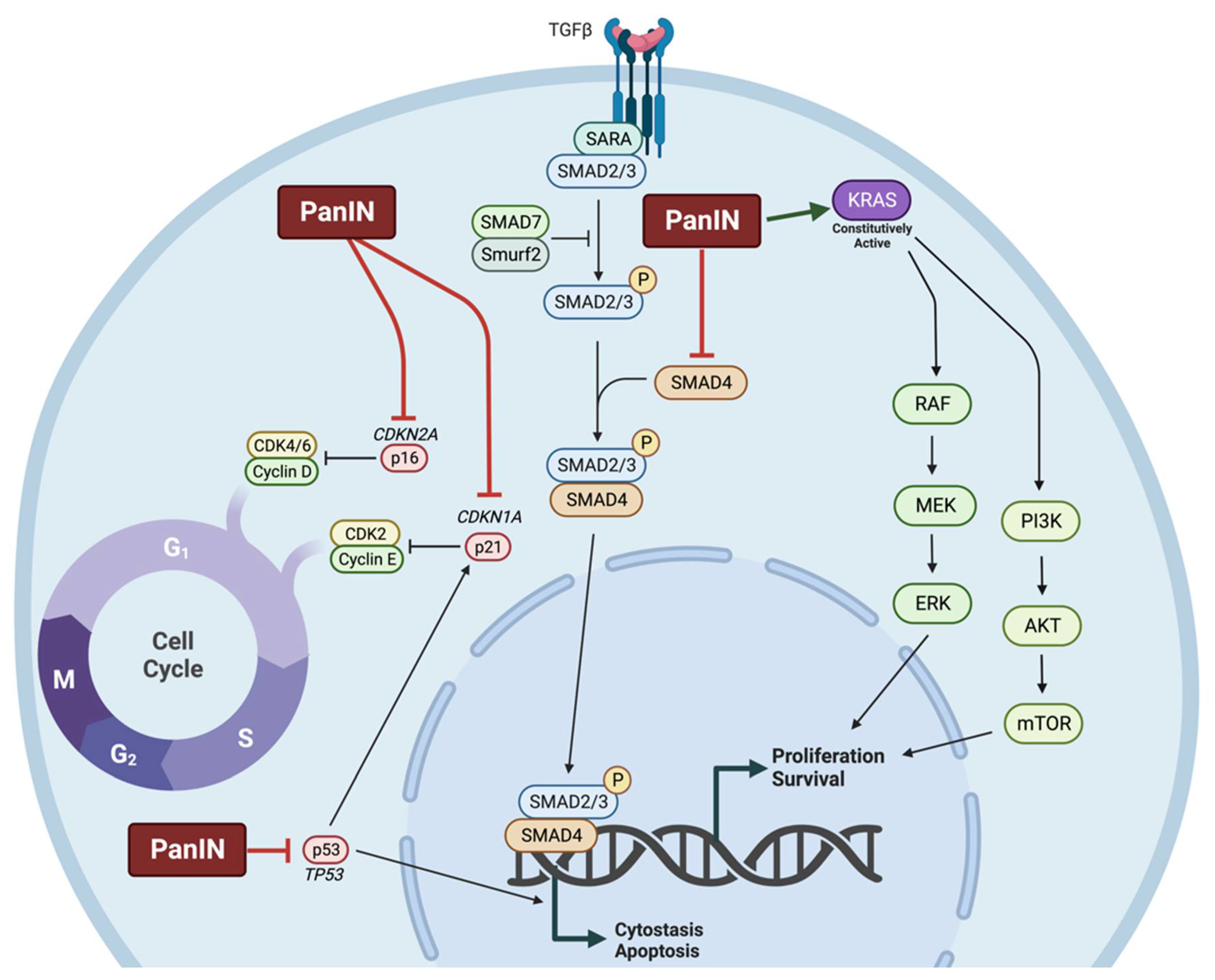 Molecules 27 08630 g002