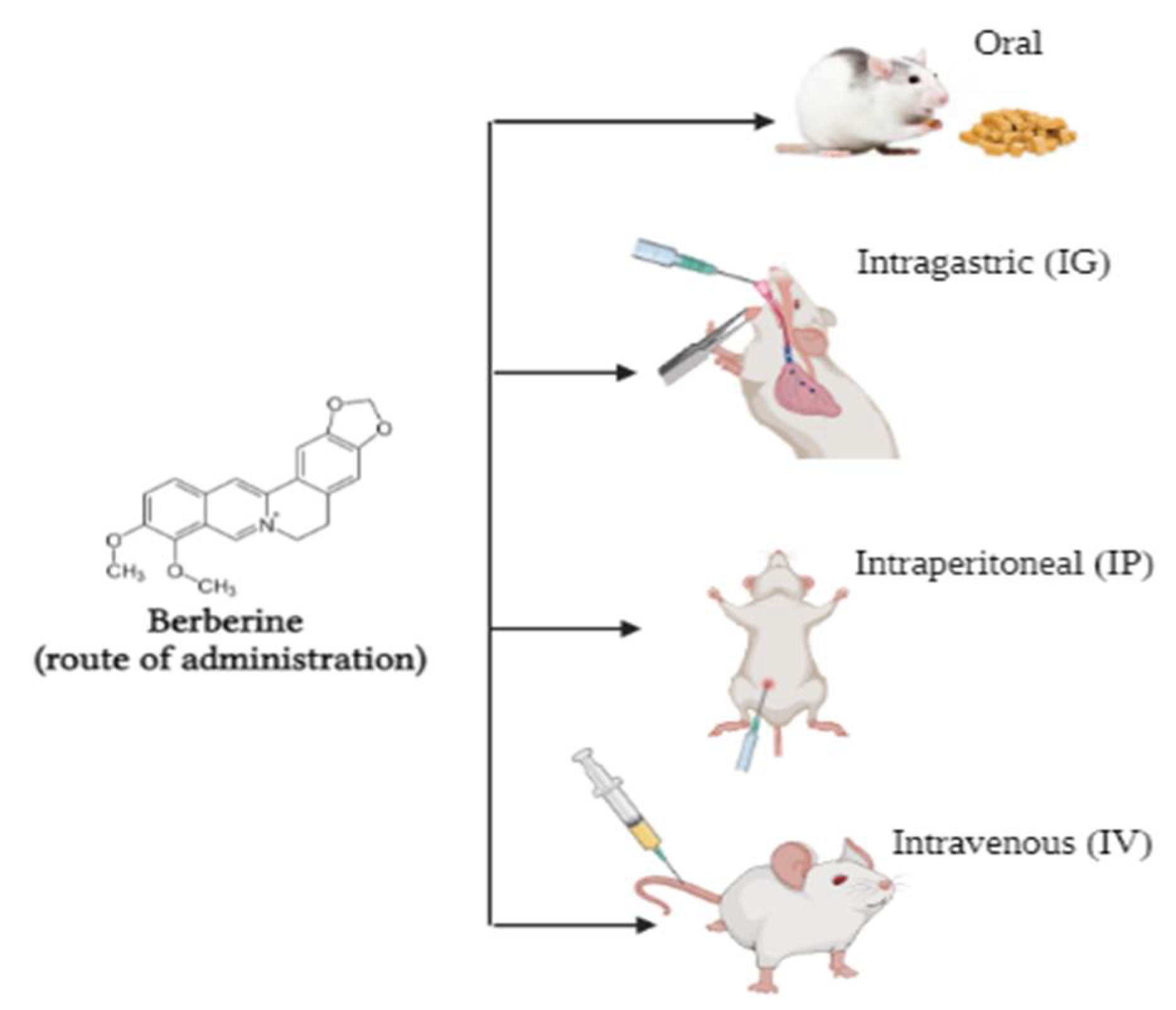 Molecules 27 08630 g004