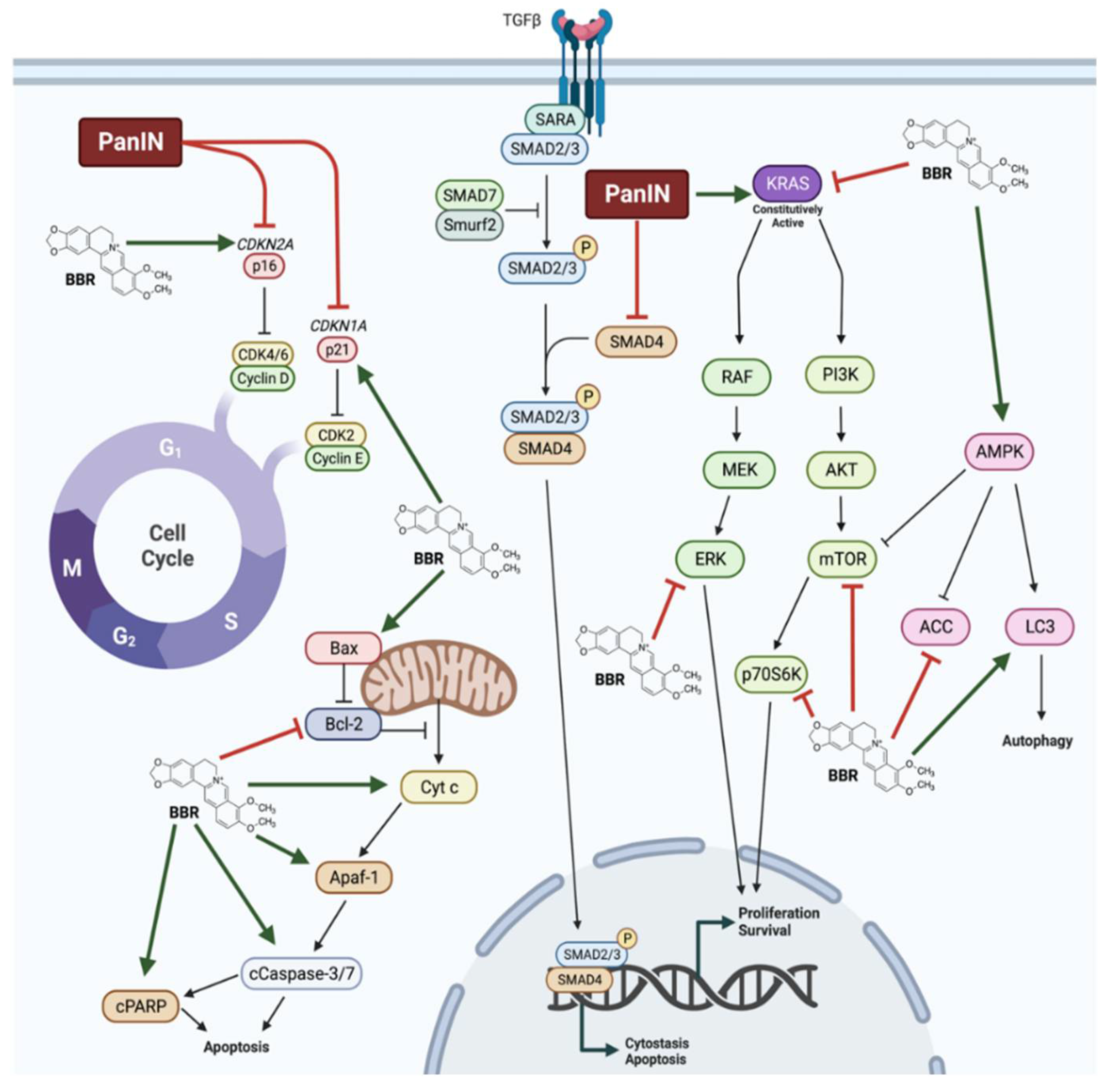 Molecules 27 08630 g005