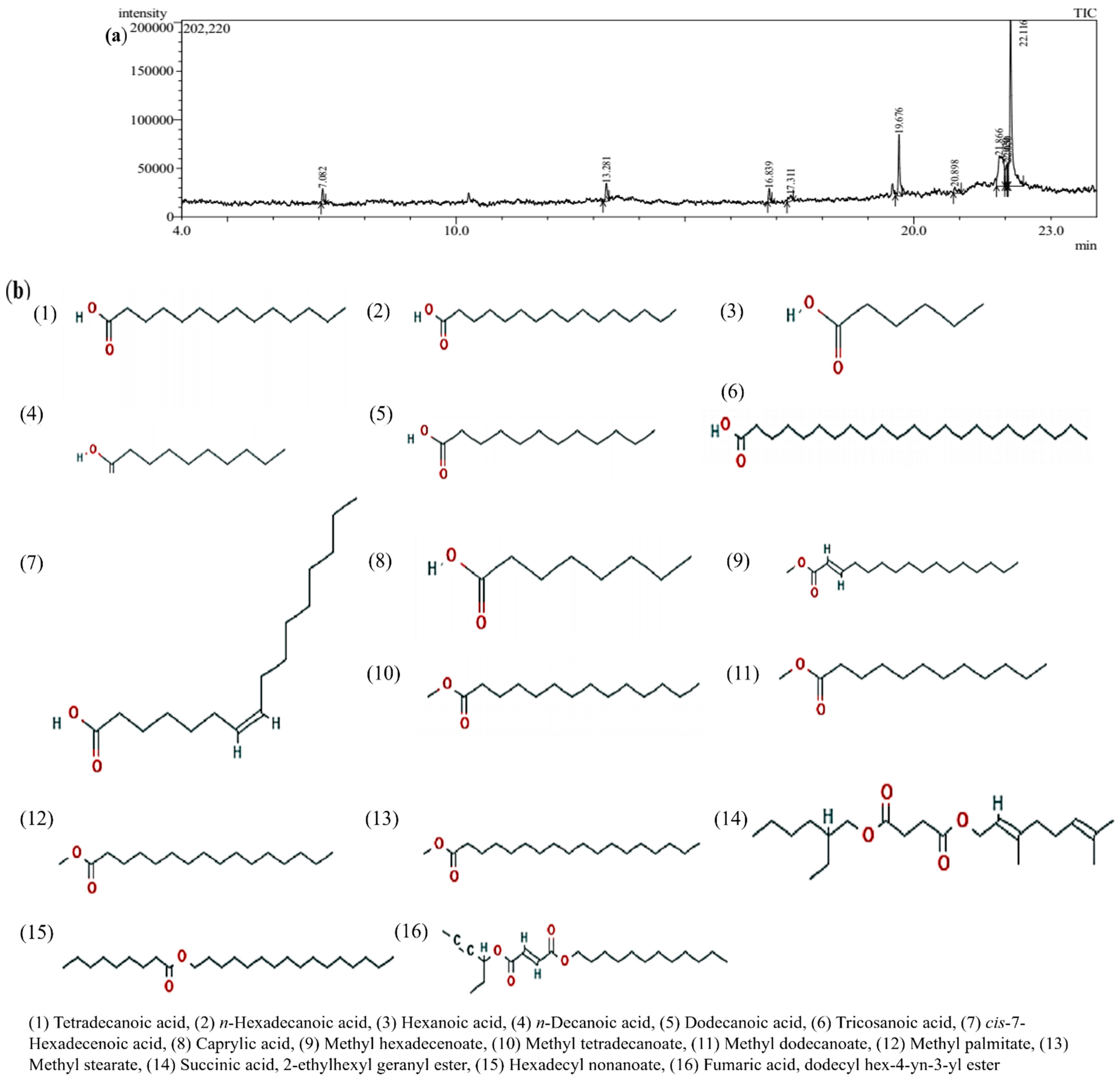 Molecules 27 08631 g001a Molecules 27 08631 g001a