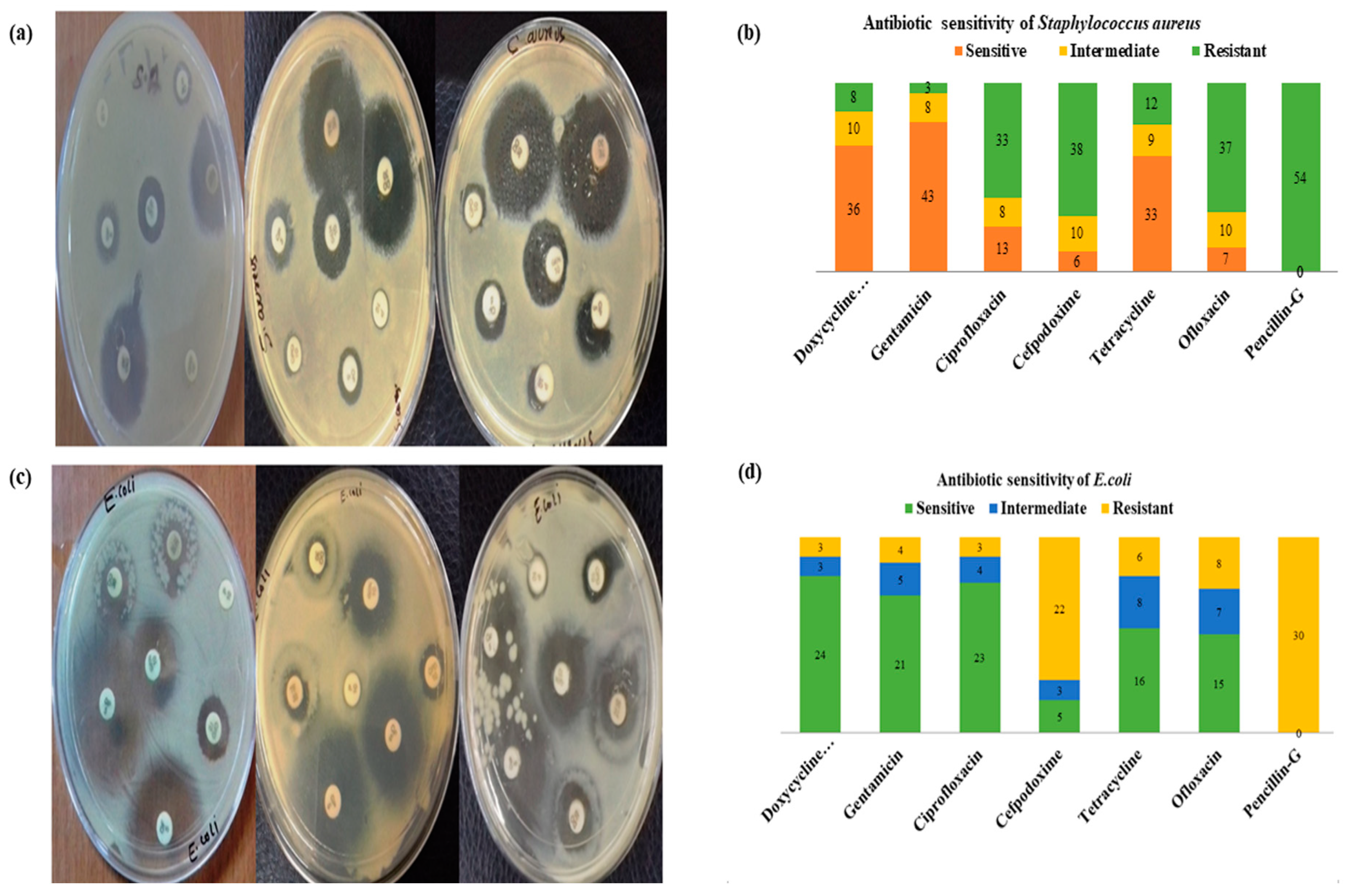 Molecules 27 08631 g006 Molecules 27 08631 g006