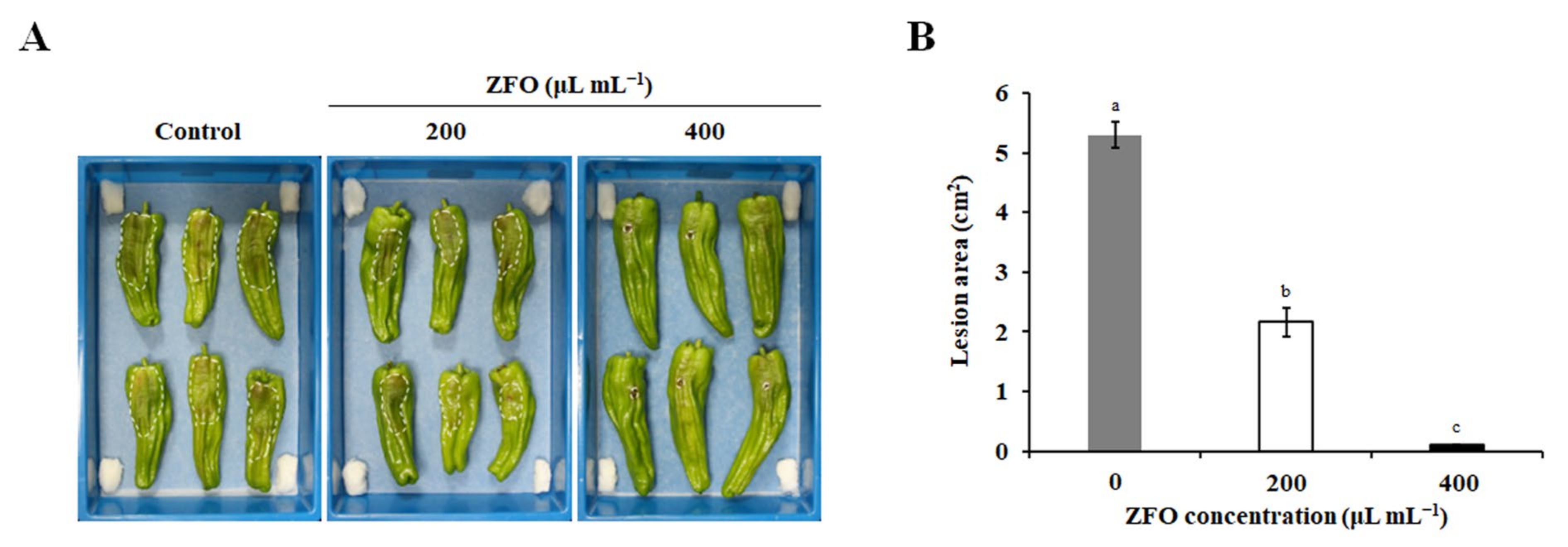 Molecules 27 08636 g004 Molecules 27 08636 g004