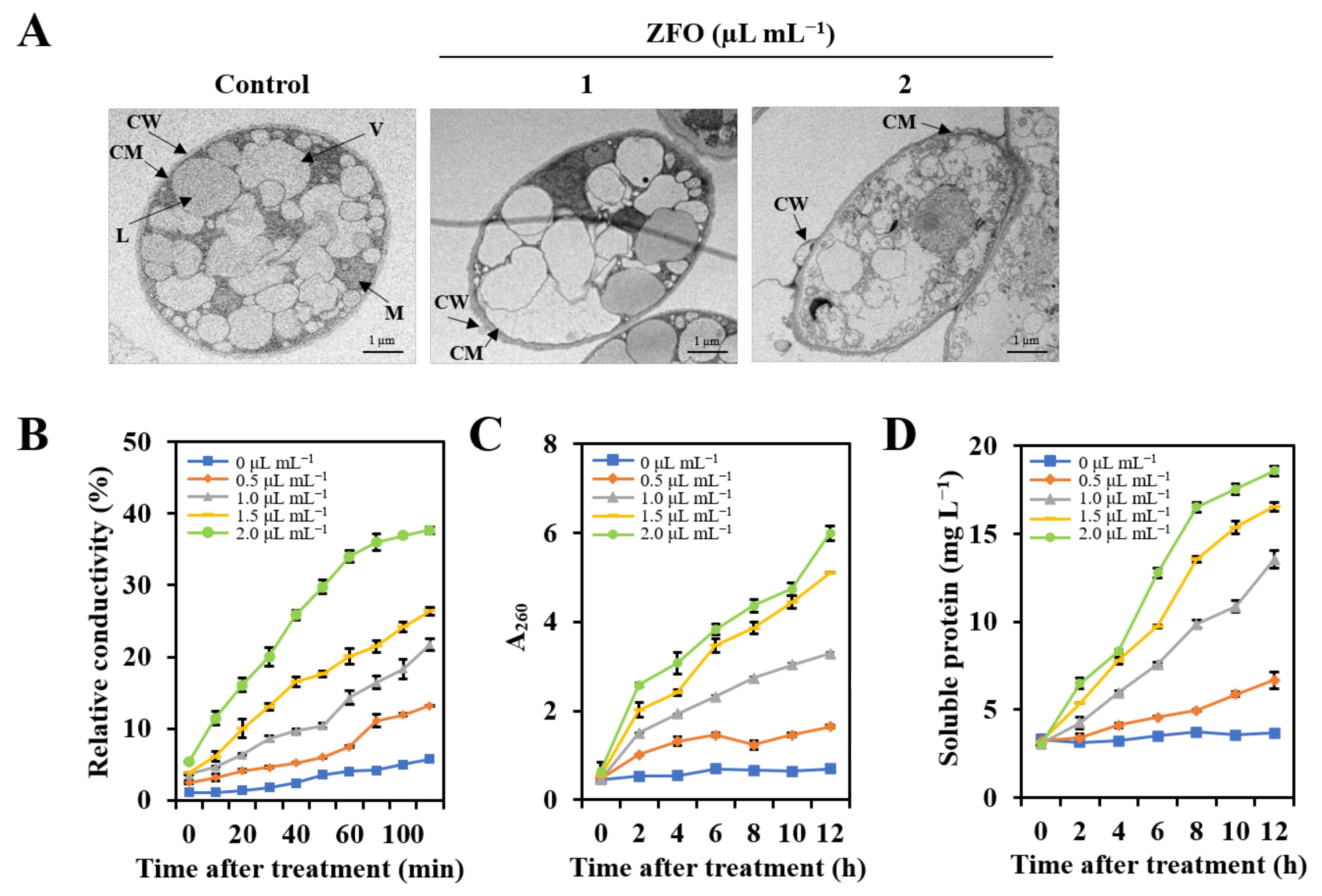Molecules 27 08636 g005 Molecules 27 08636 g005