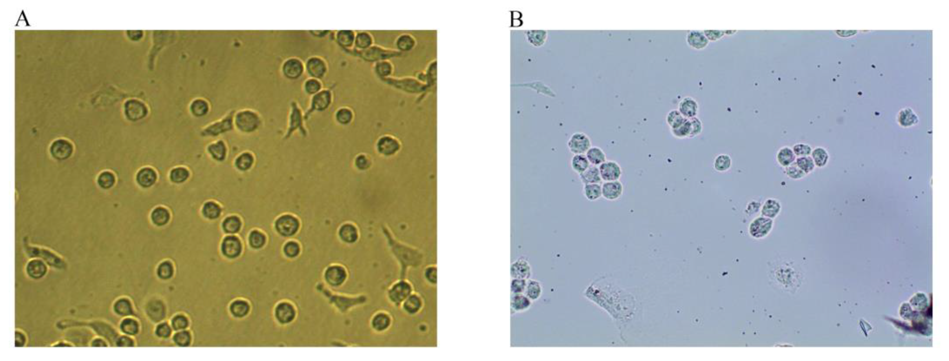 Molecules 27 08639 g001 Molecules 27 08639 g001