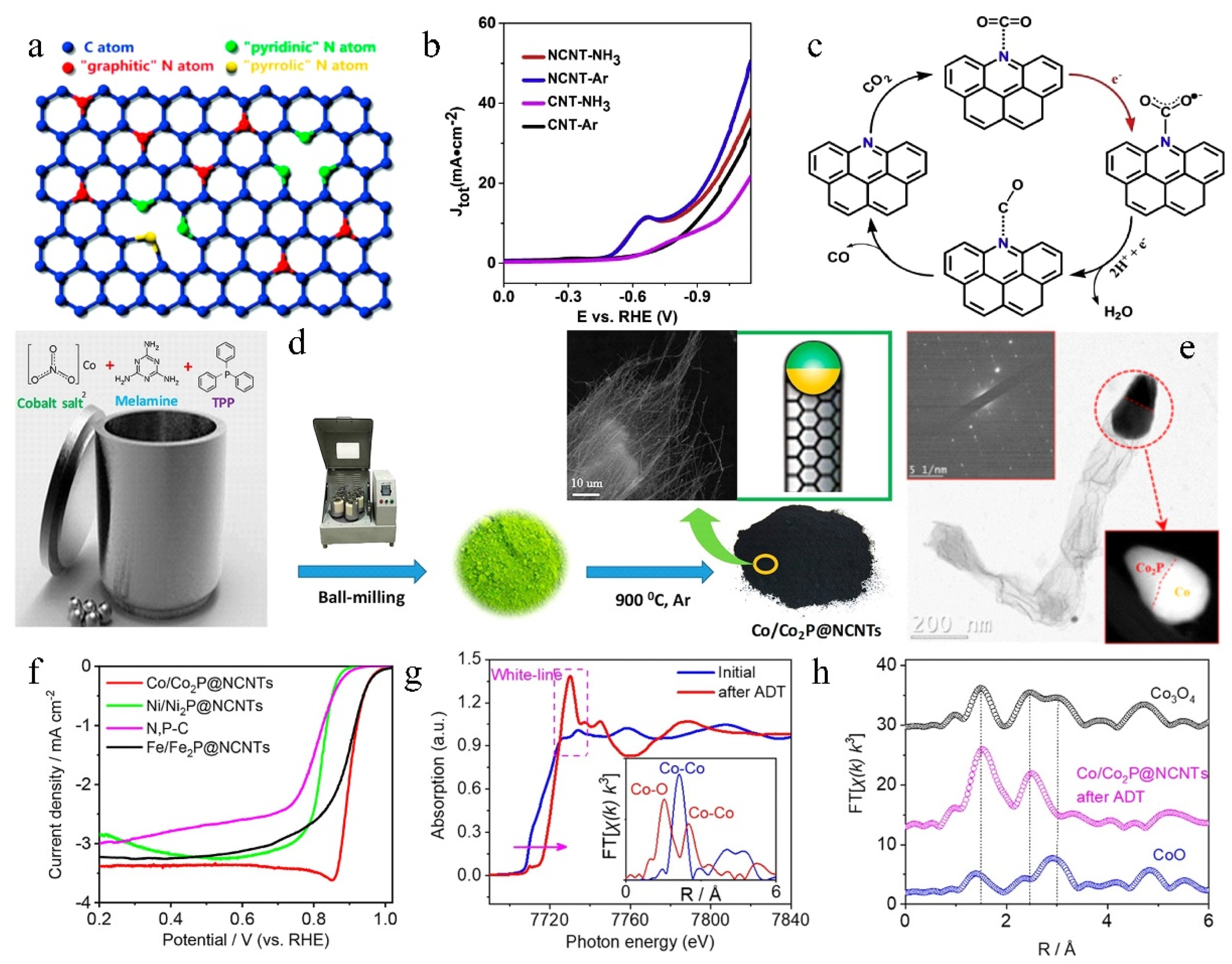 Molecules 27 08644 g007 Molecules 27 08644 g007