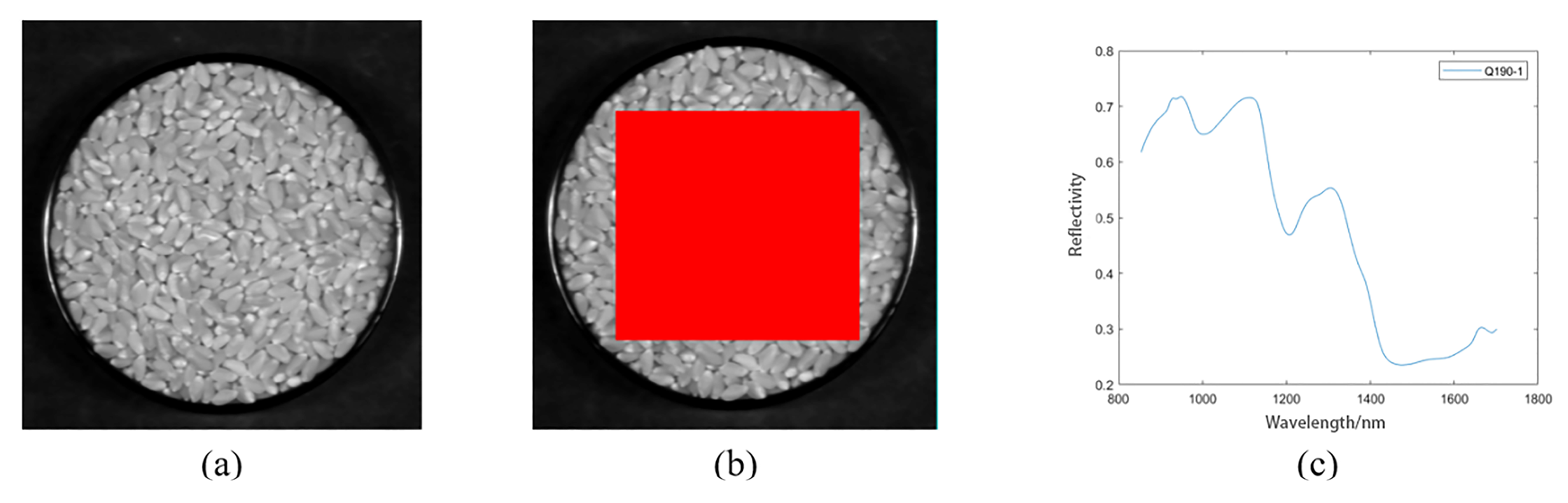 Molecules 27 08648 g002 Molecules 27 08648 g002