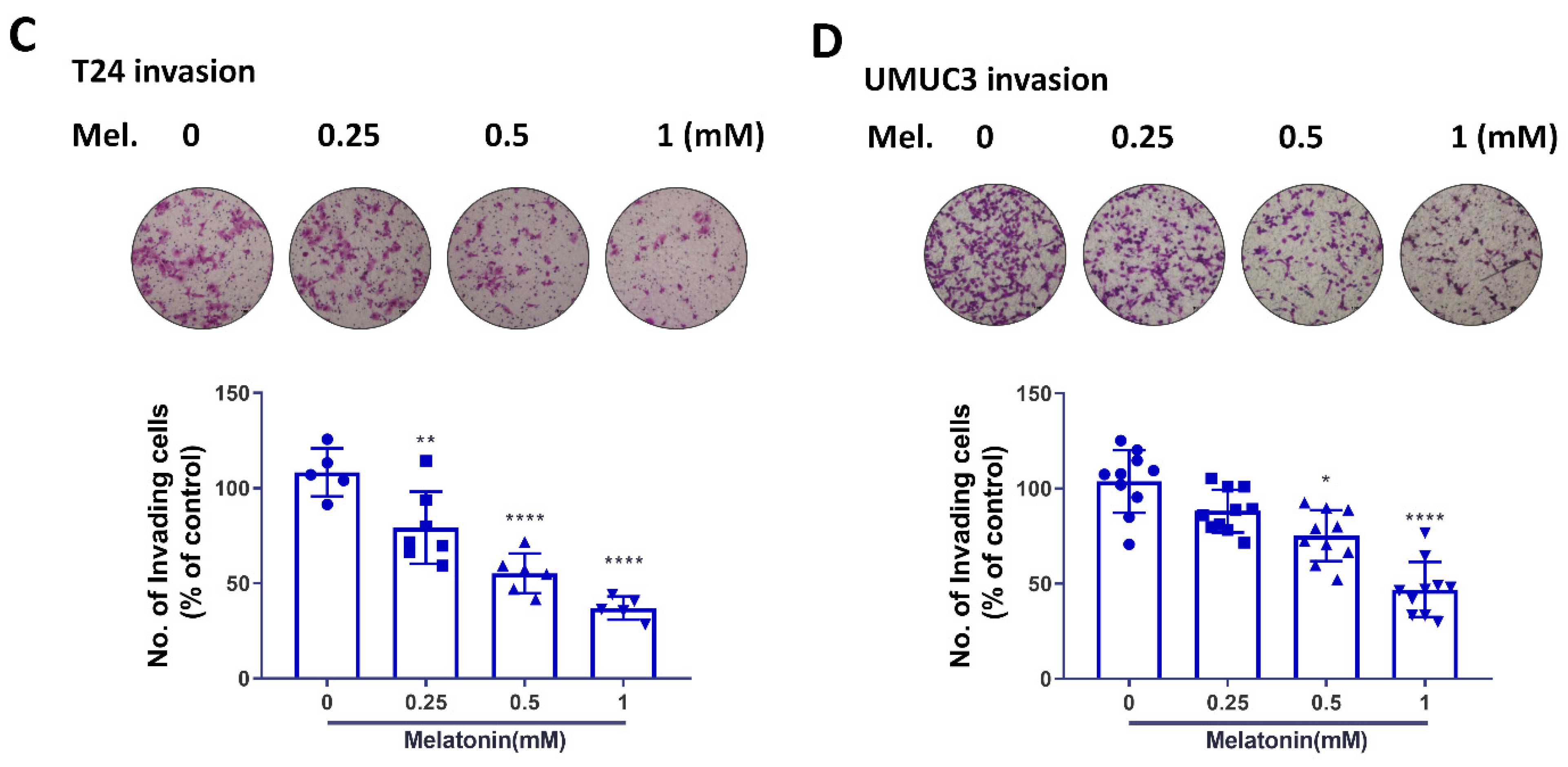 Molecules 27 08649 g002b